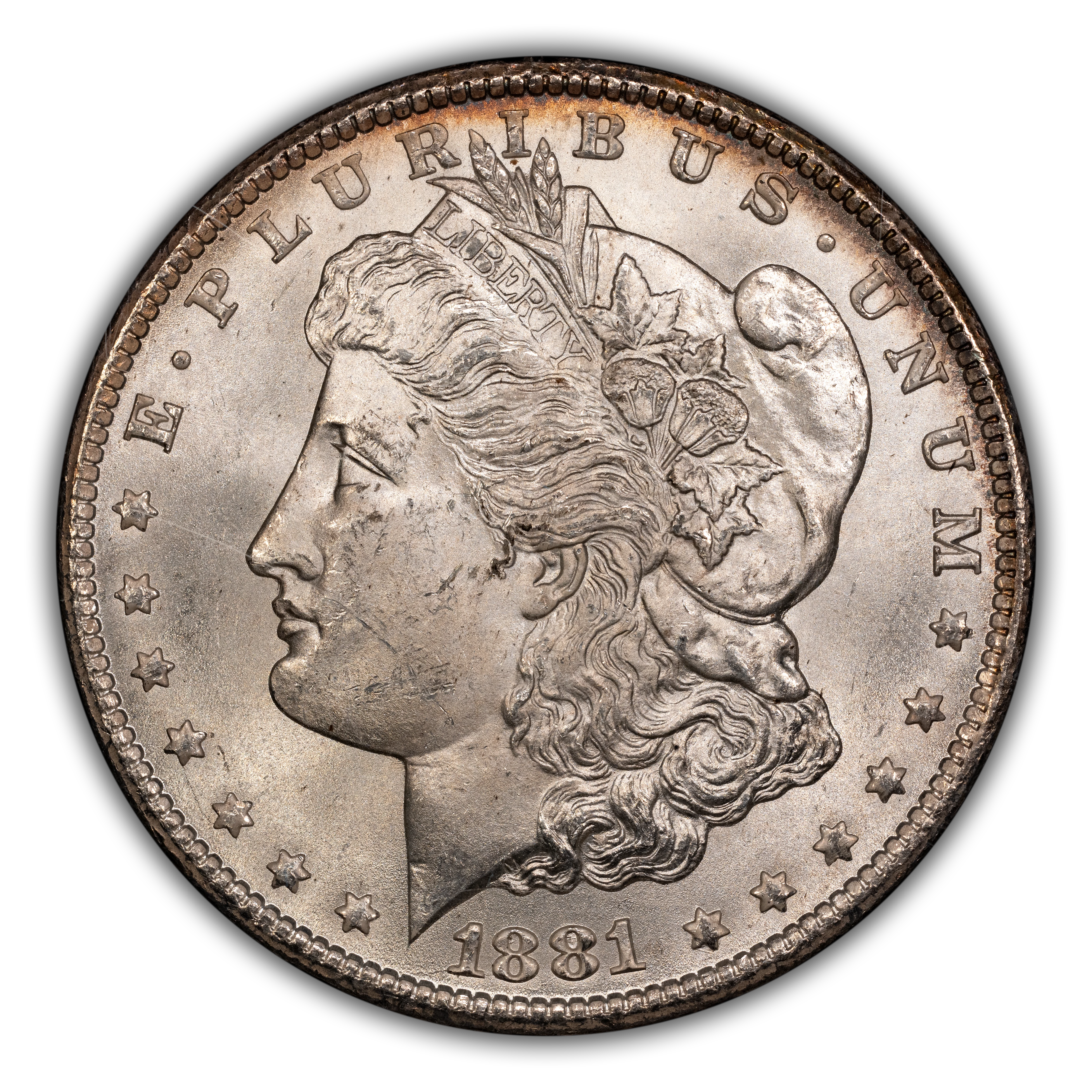 1881-CC $1  GSA Hoard, CC Tilted Left, VAM-6 MS thumbnail 6