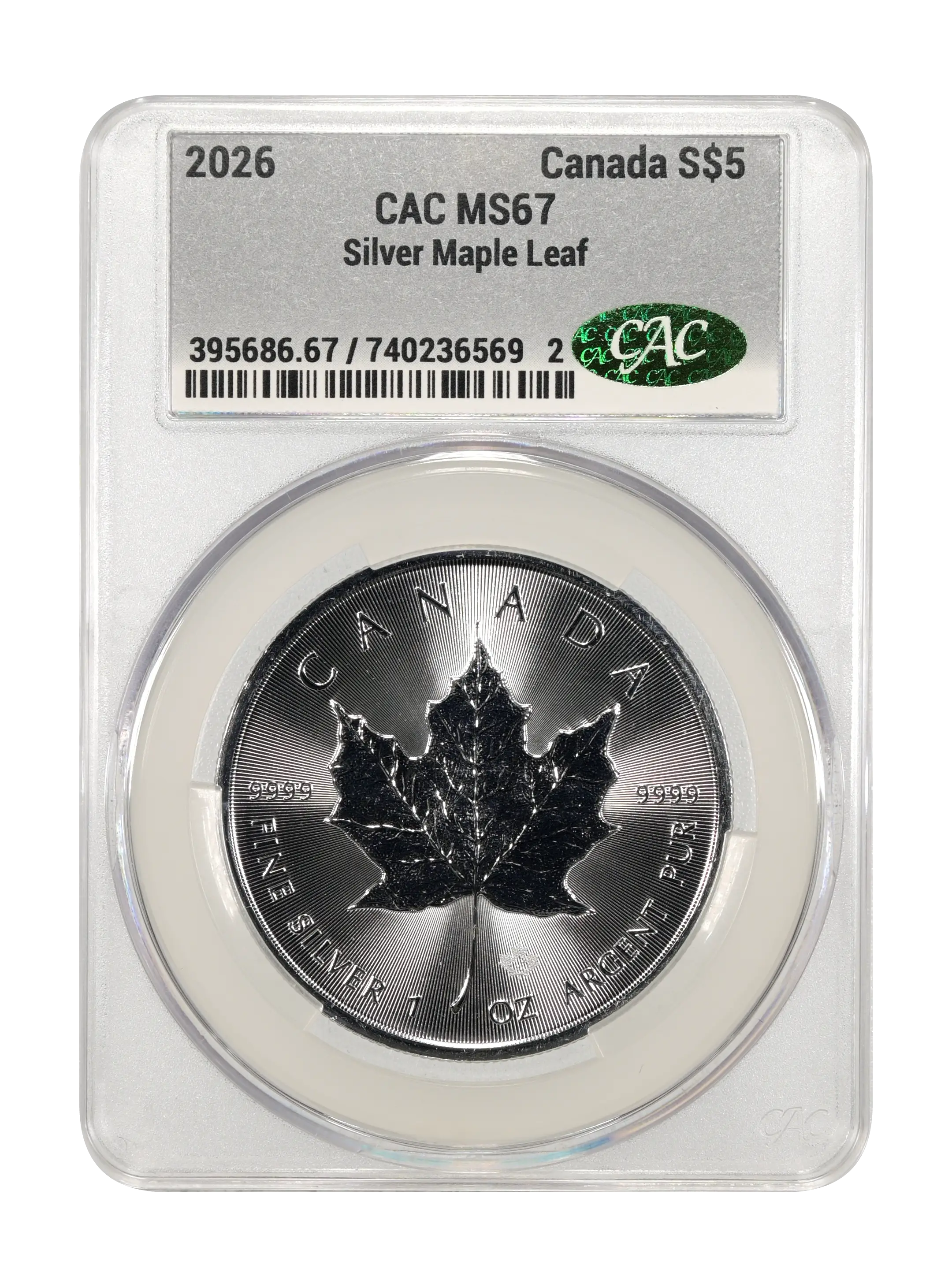 2026 S$5 1oz Silver, Maple Leaf MS thumbnail 9