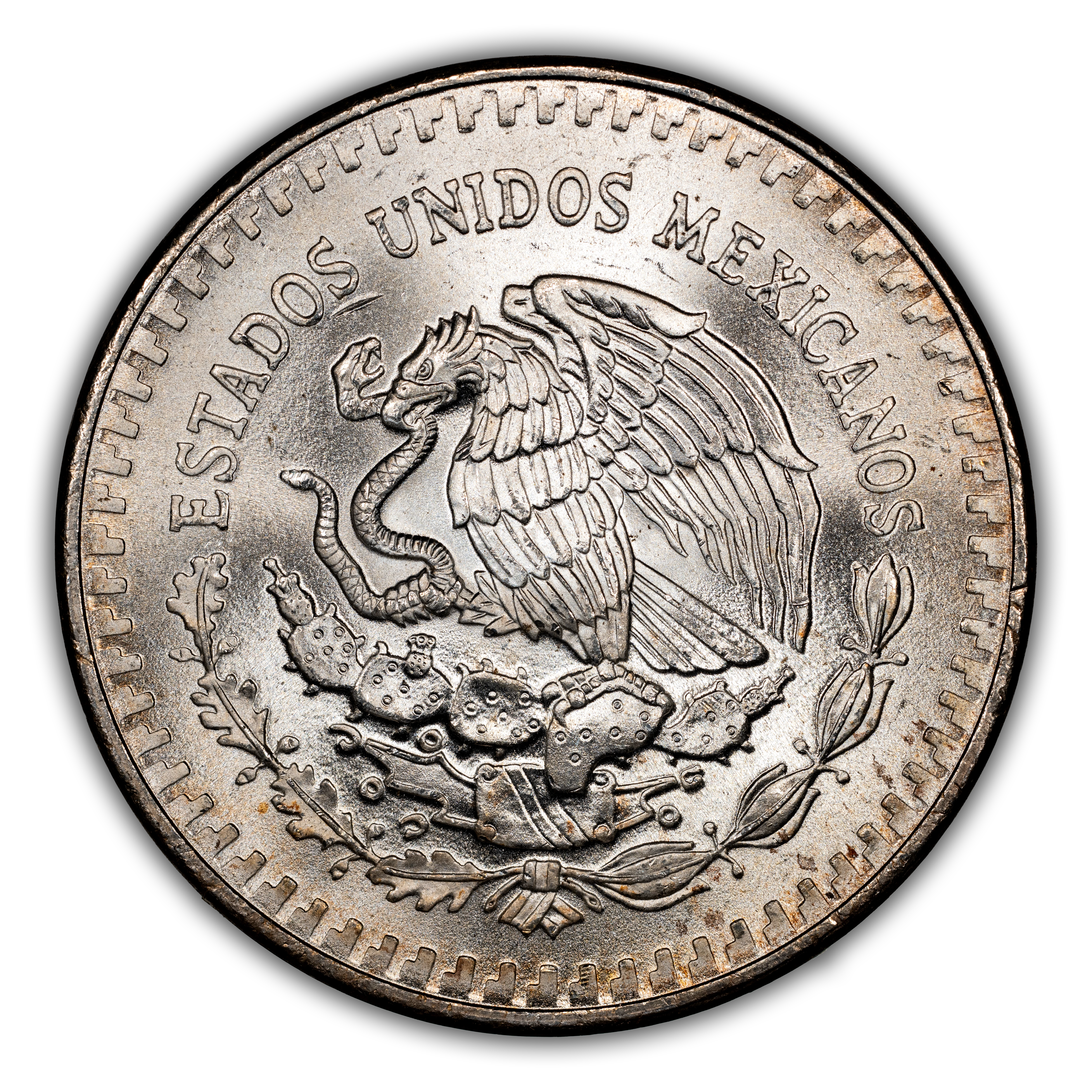1983-Mo 1 Onza Libertad, Silver MS (KM-494.1) thumbnail 12