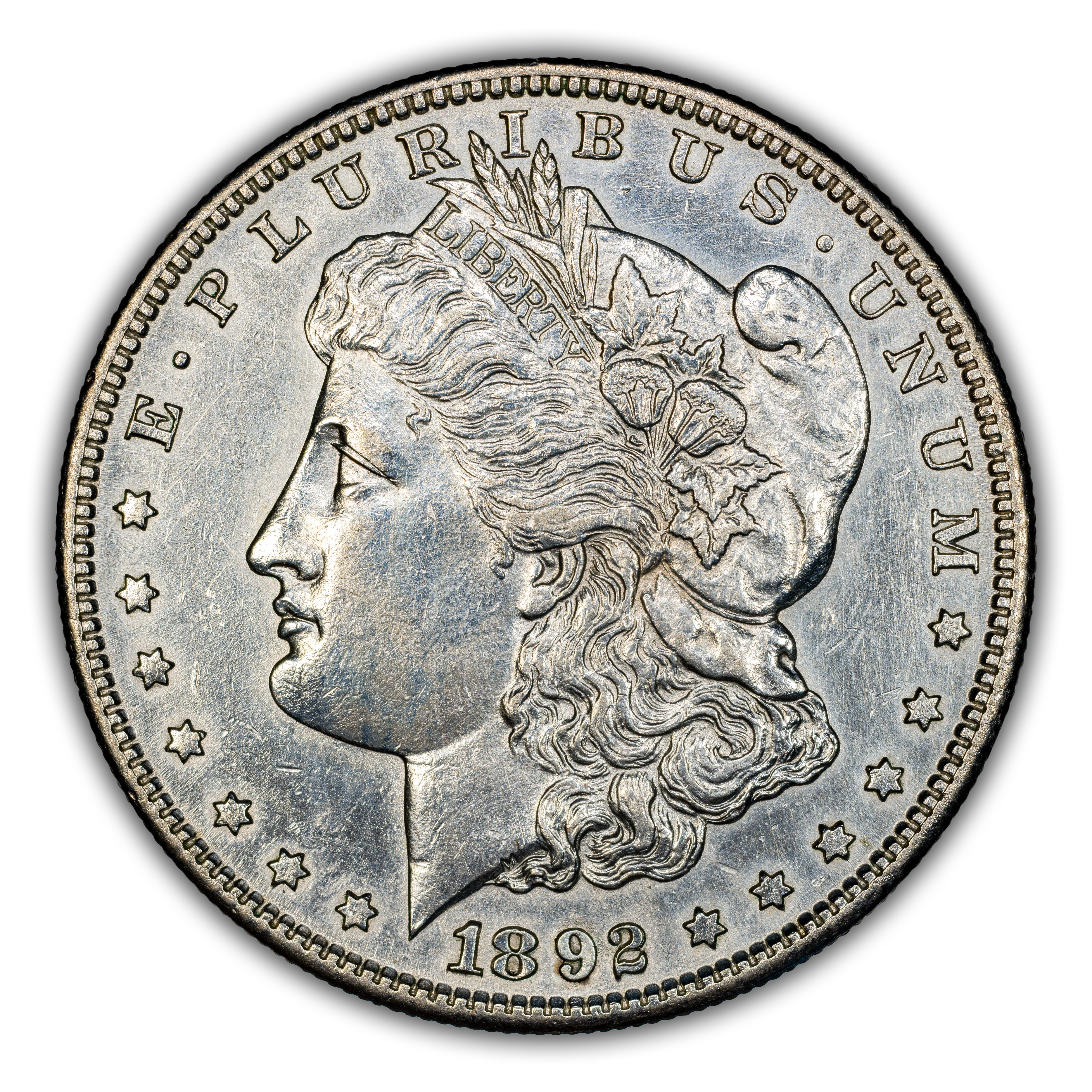 1892-S $1  Doubled 892 Polished, VAM-14 MS thumbnail 2