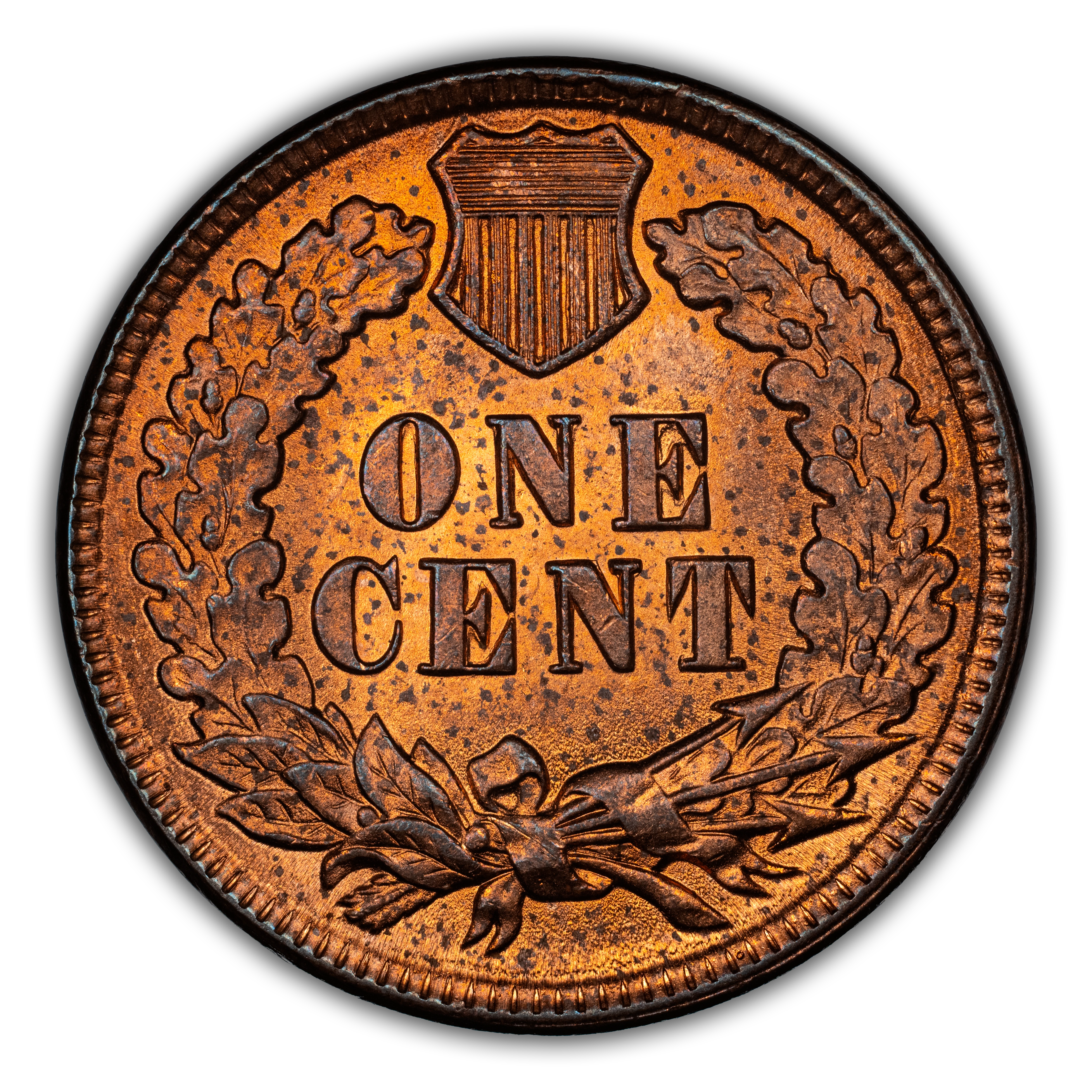 1895 1c Repunched Date, FS-301, S-1 MS RD thumbnail 2
