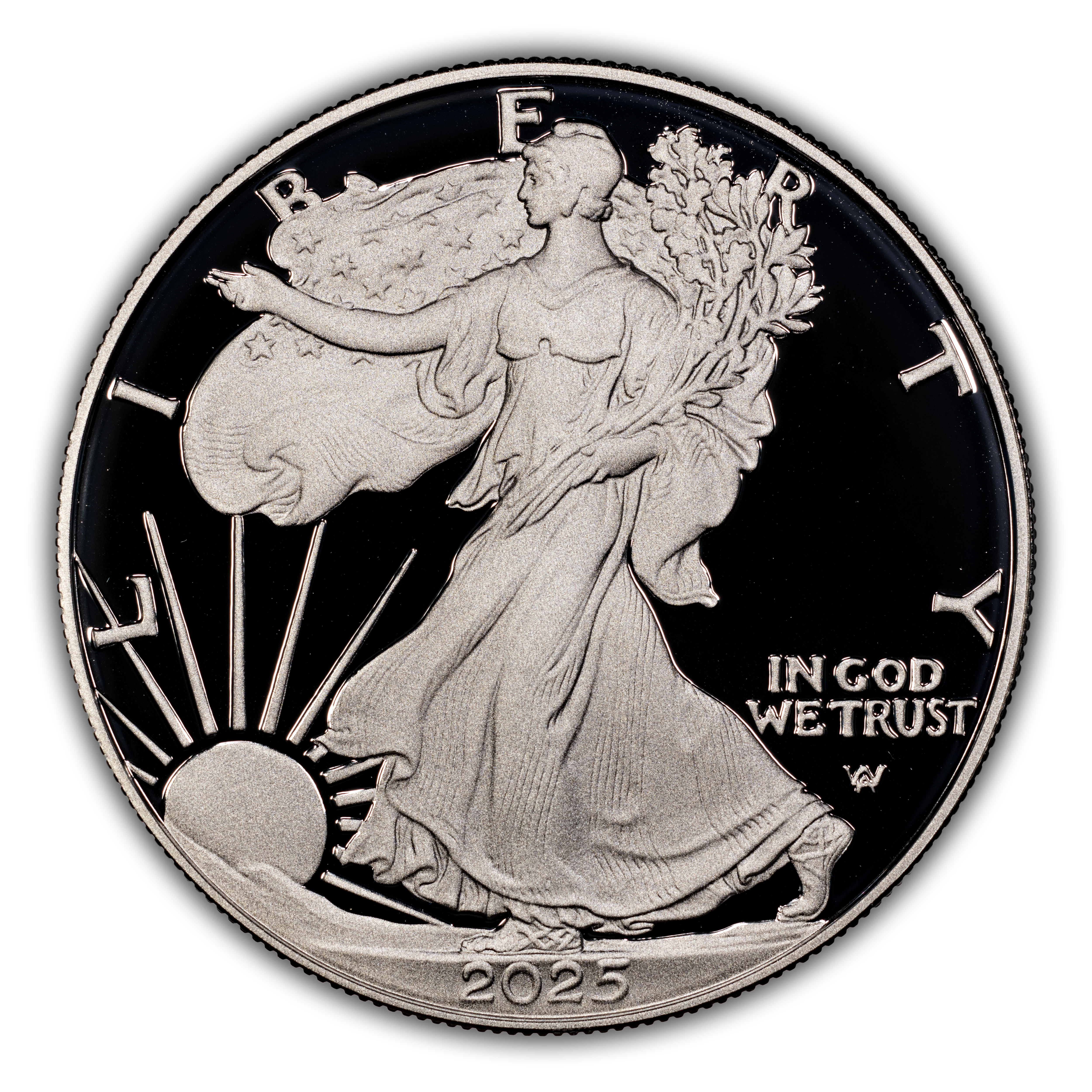 2025-W $1  Silver Eagle PR DCAM thumbnail 5