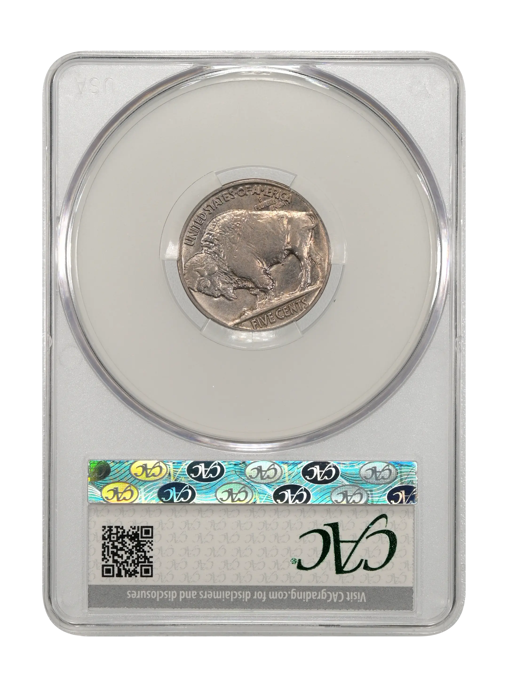 1913 5c Buffalo, Type 2, DDR, FS-1801 MS thumbnail 10