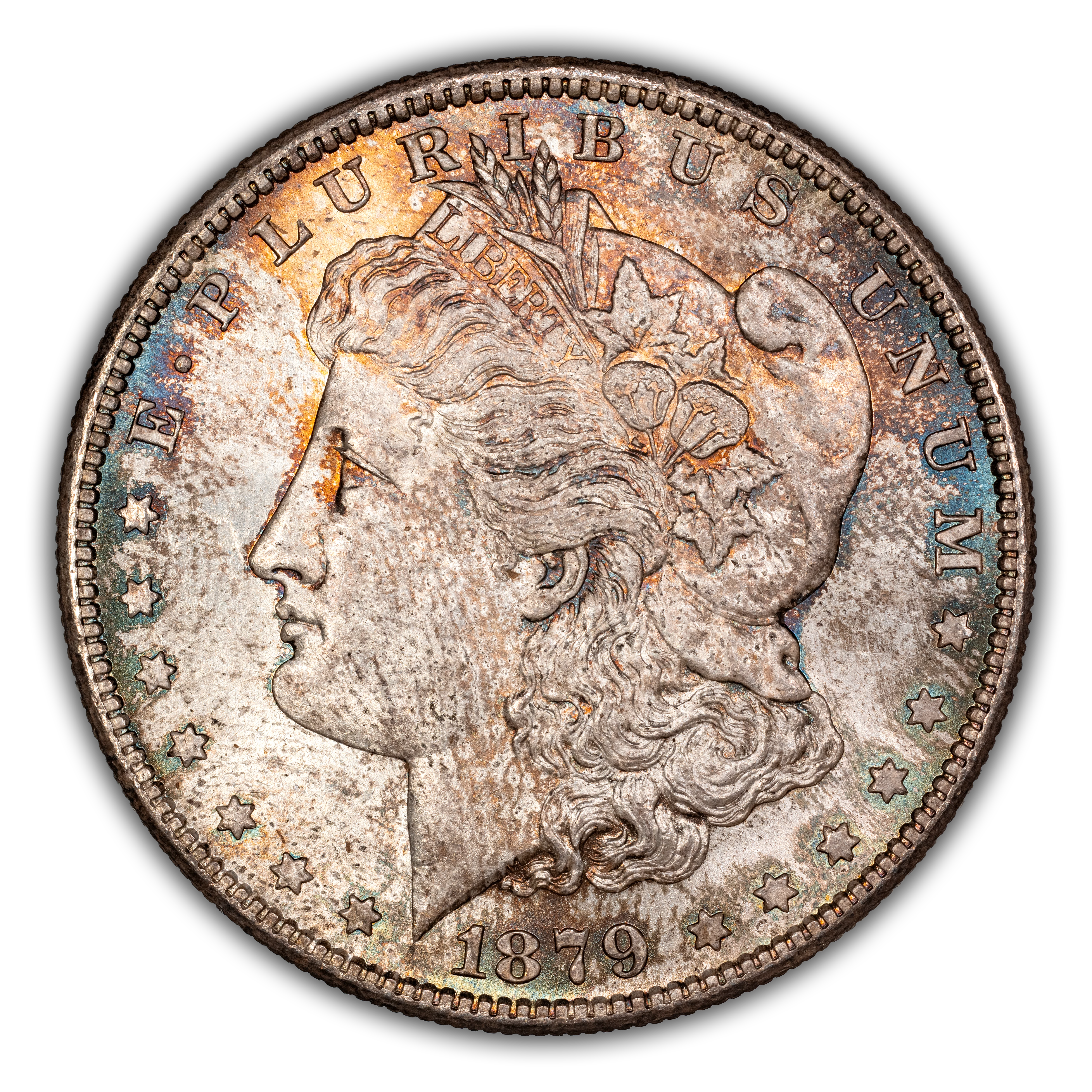 1879-S $1  Hair Ribbon Gouged, VAM-107A MS thumbnail 18