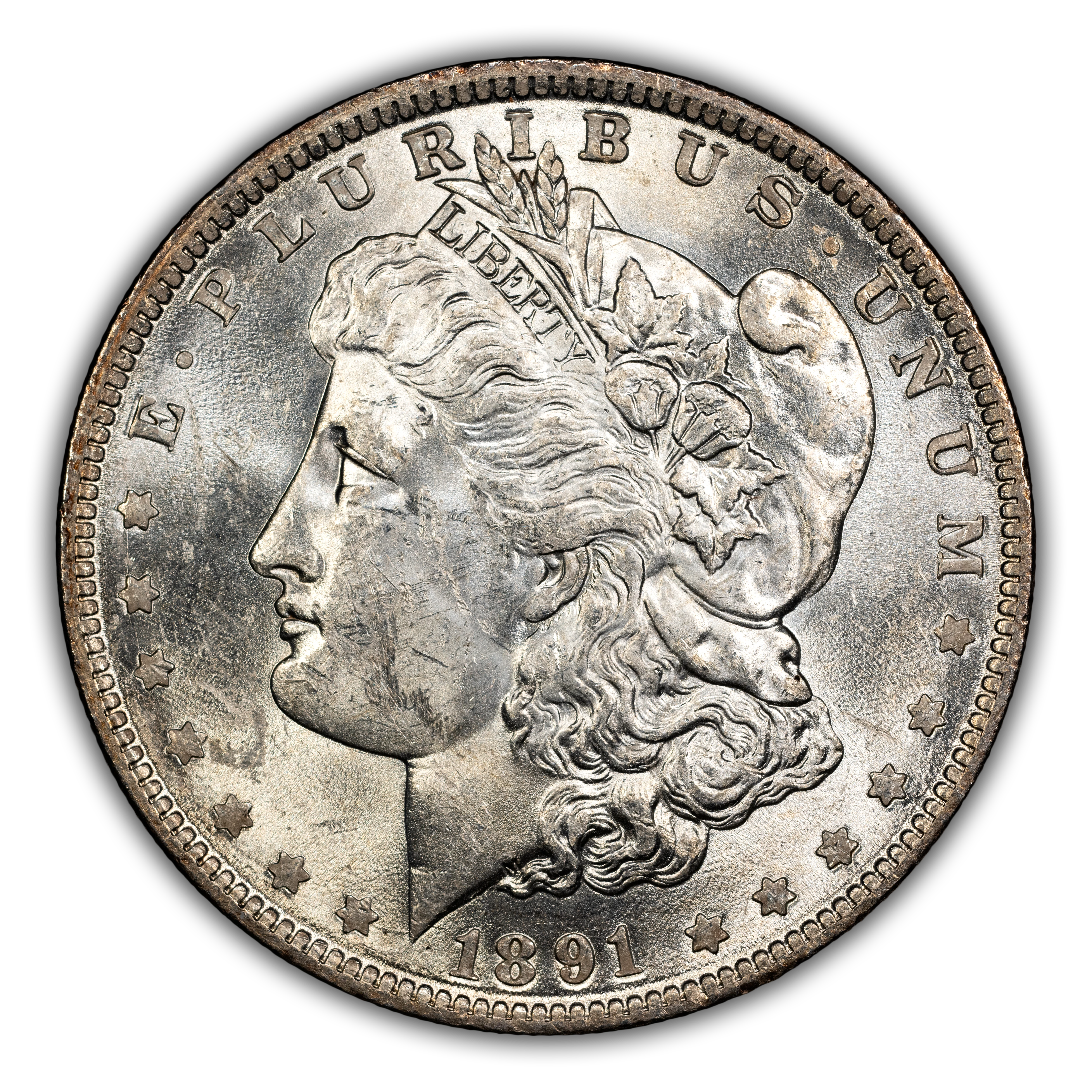 1891 $1  MS thumbnail 17