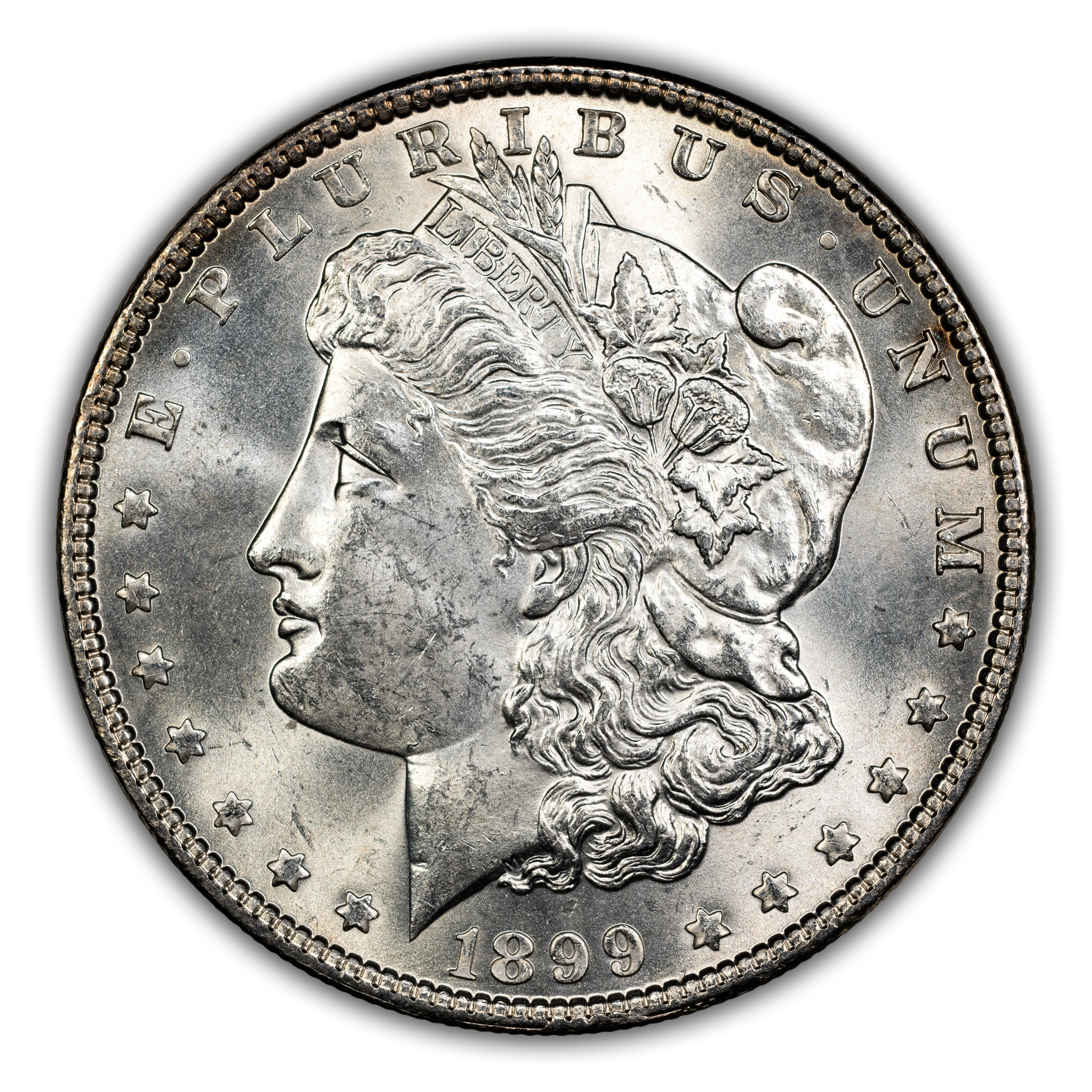 1899 $1  MS thumbnail 15