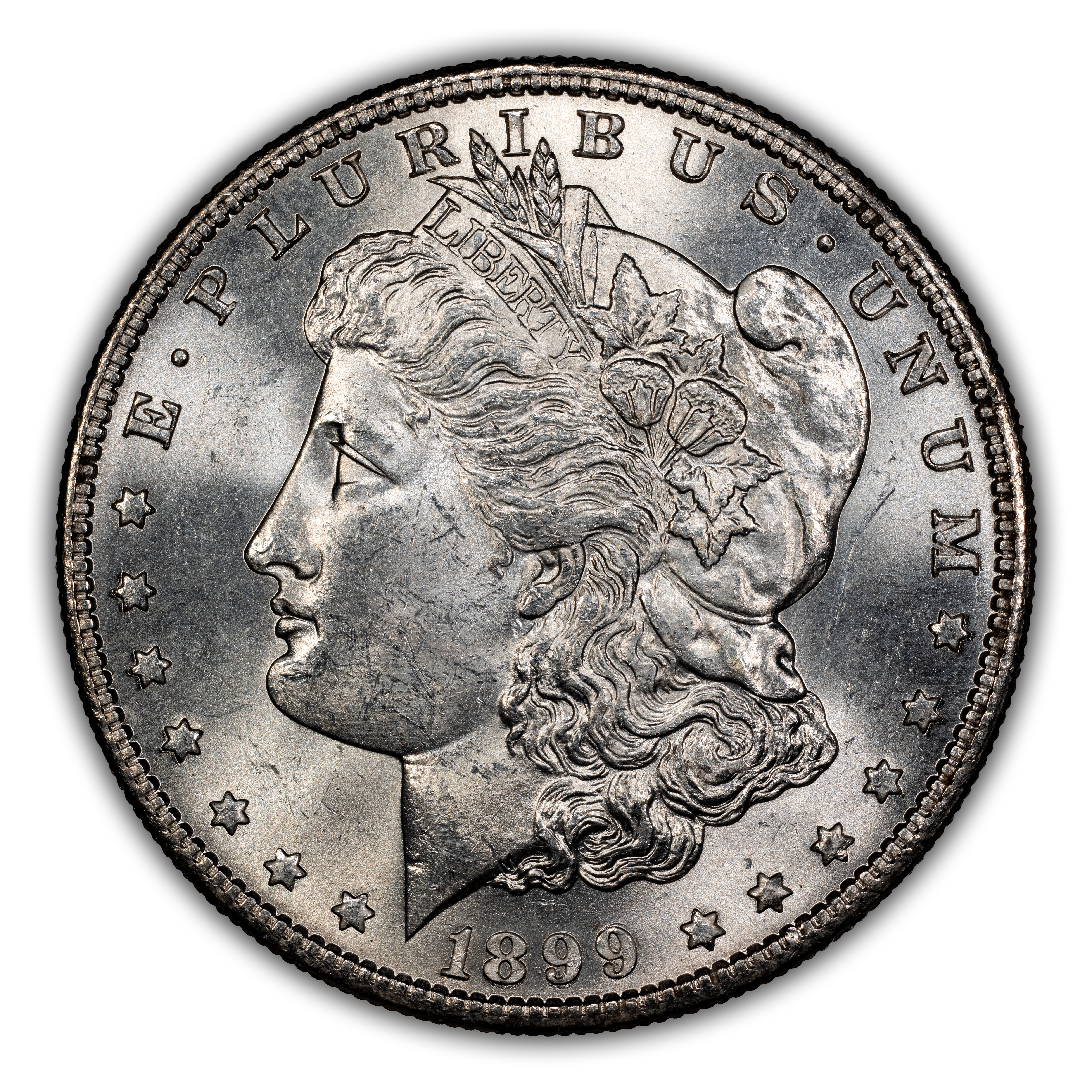 1899-S $1  VAM-15 MS thumbnail 10