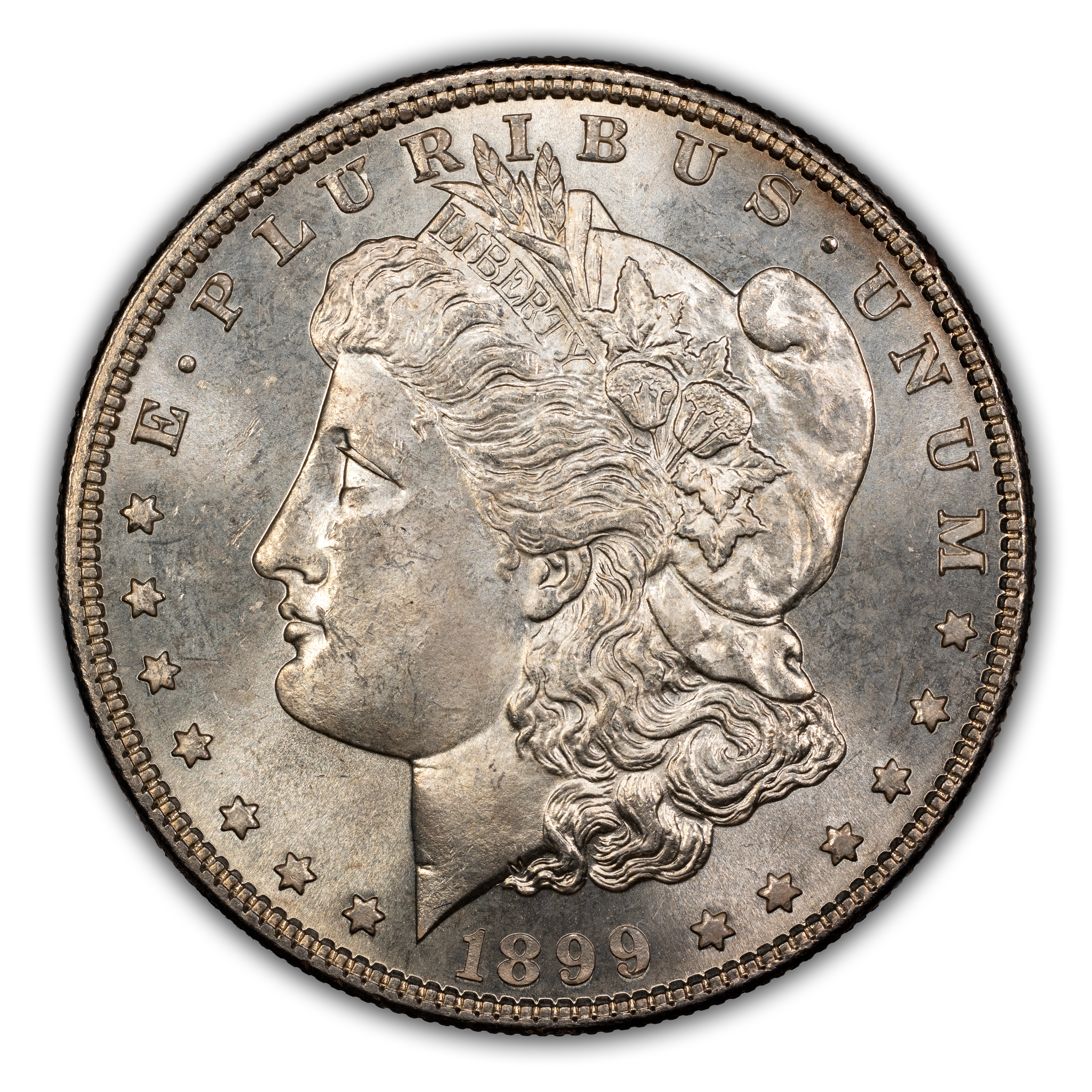 1899 $1  MS thumbnail 13