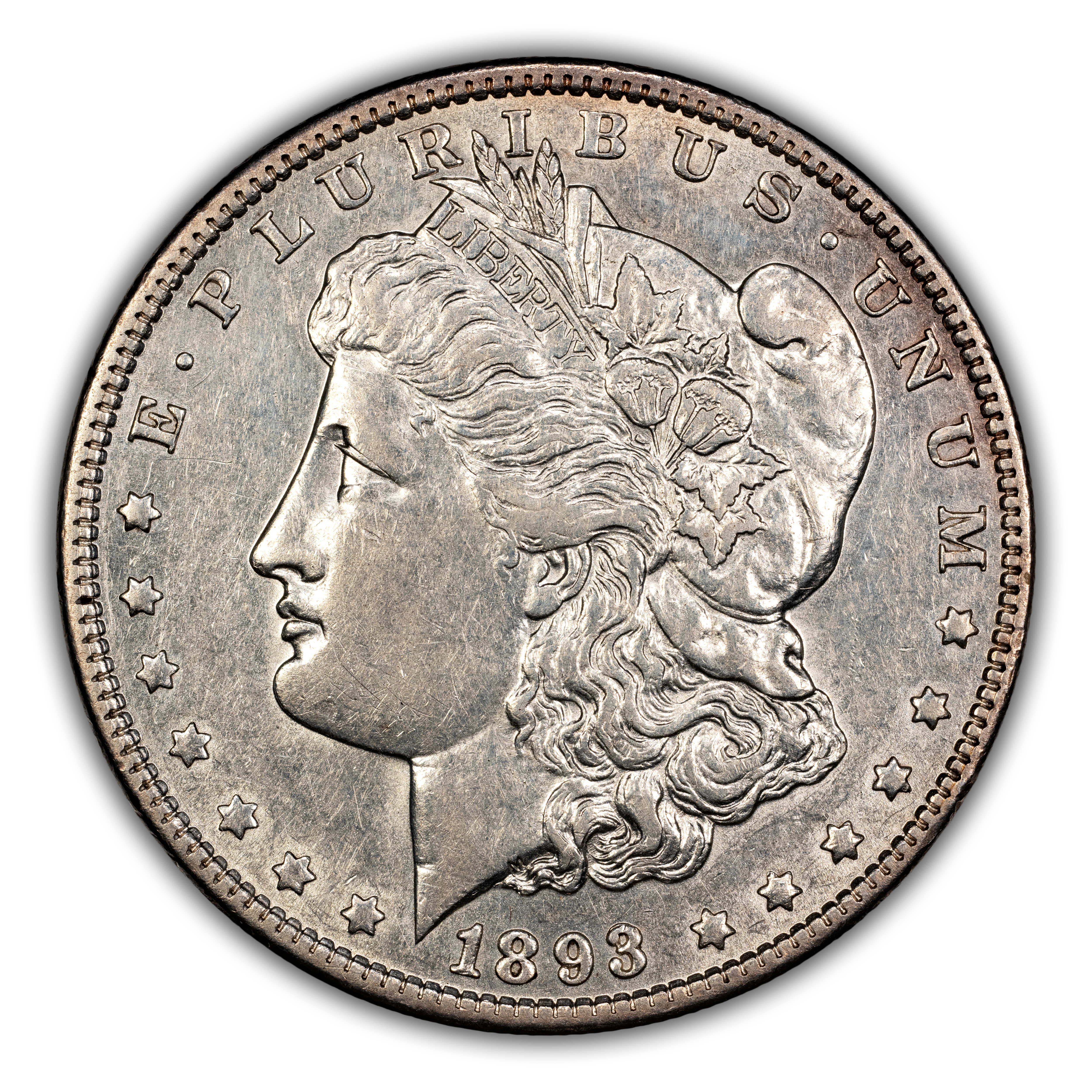 1893 $1  MS thumbnail 13