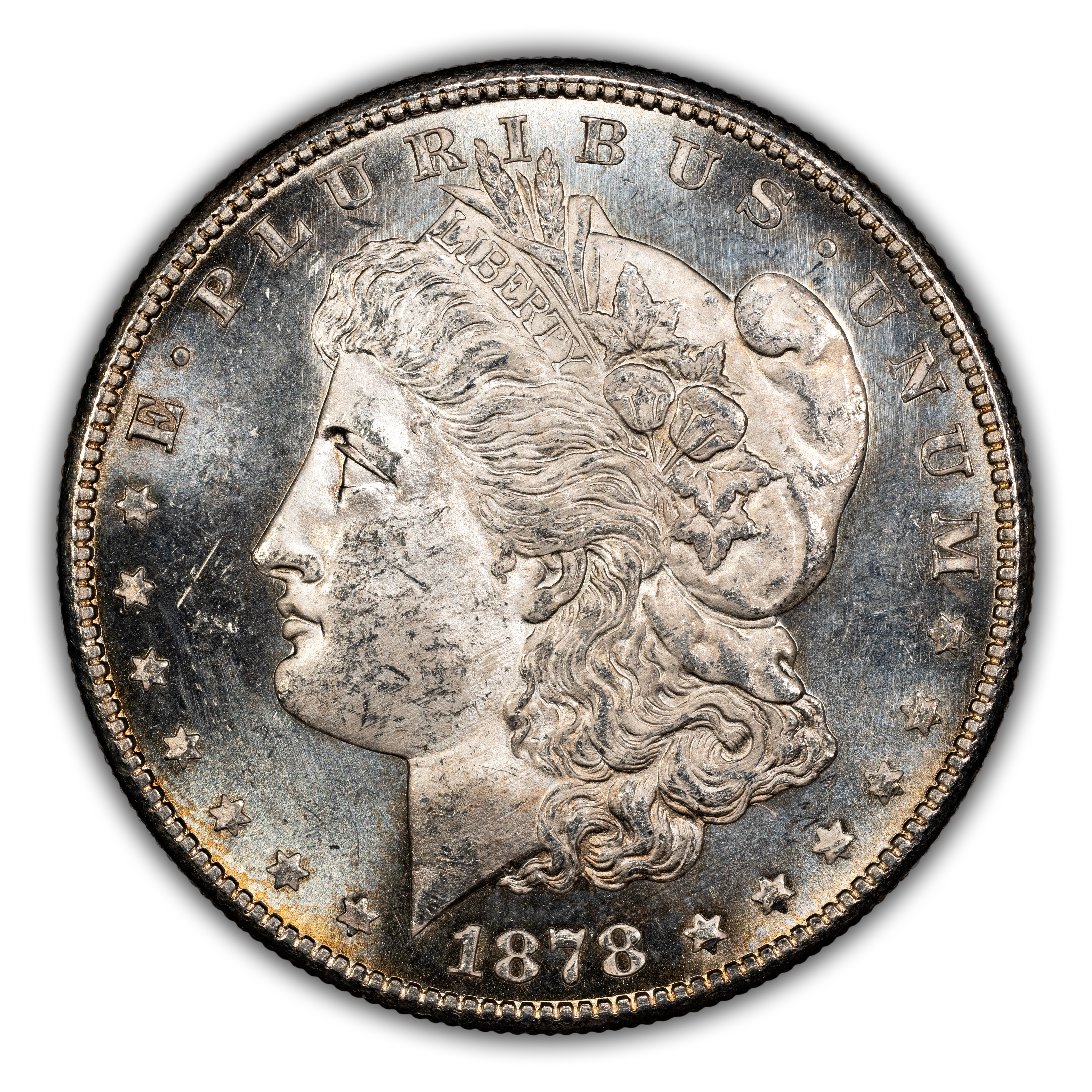 1878-S $1  Dragon Scales, VAM-118 MS thumbnail 6