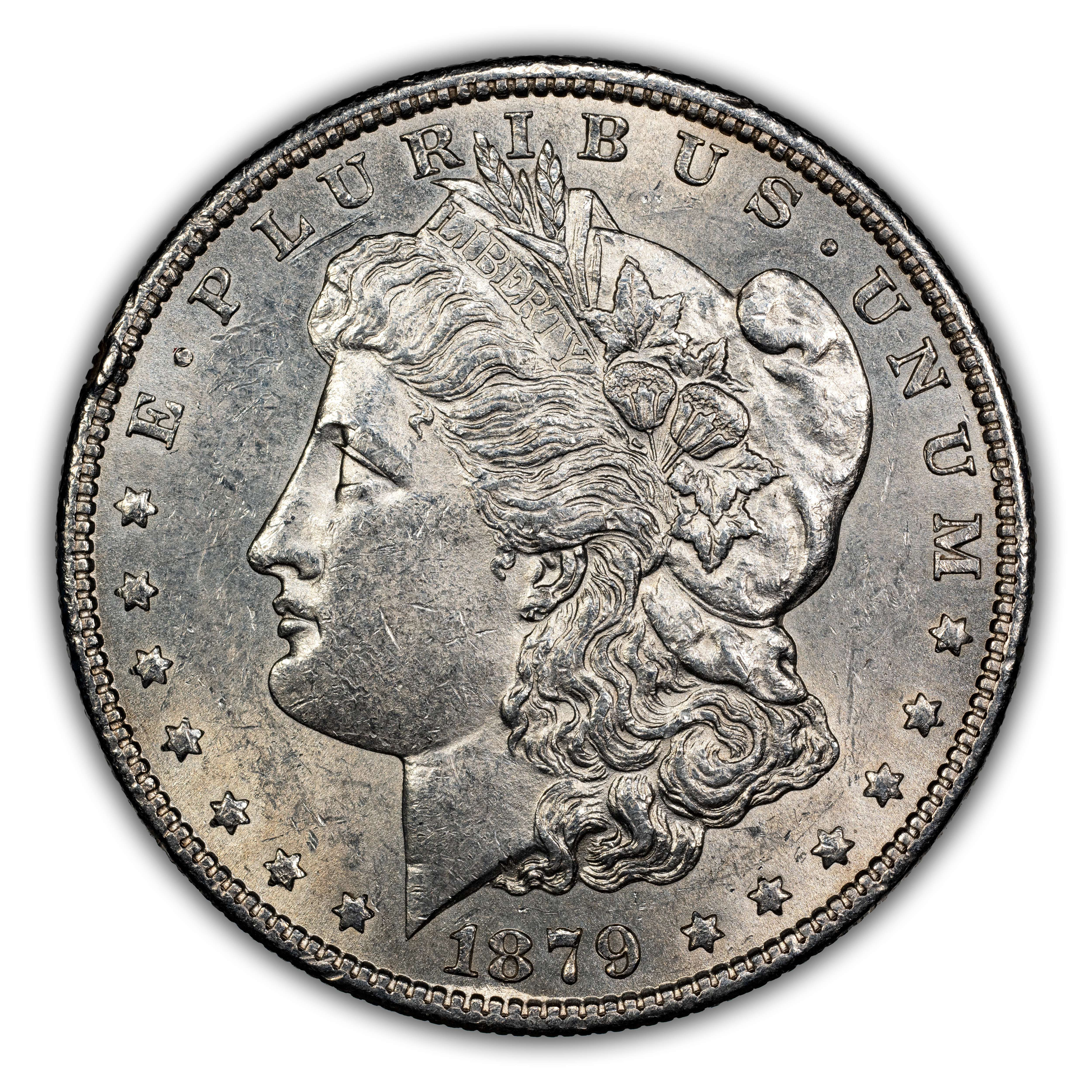1879-S $1  Hair Ribbon Gouged, VAM-107A MS thumbnail 12
