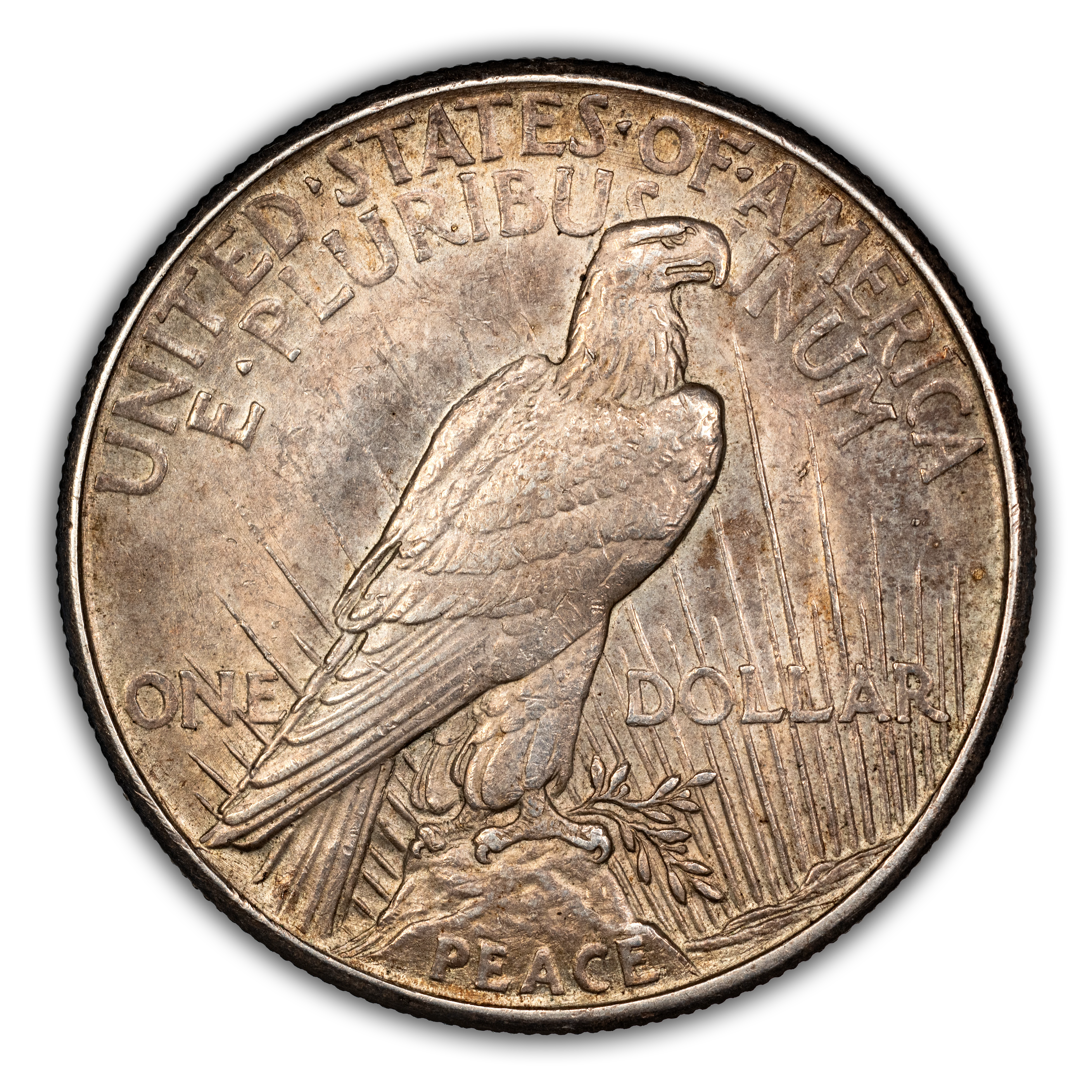 1921 $1  Peace, Polishing Lines, VAM 1H MS thumbnail 8