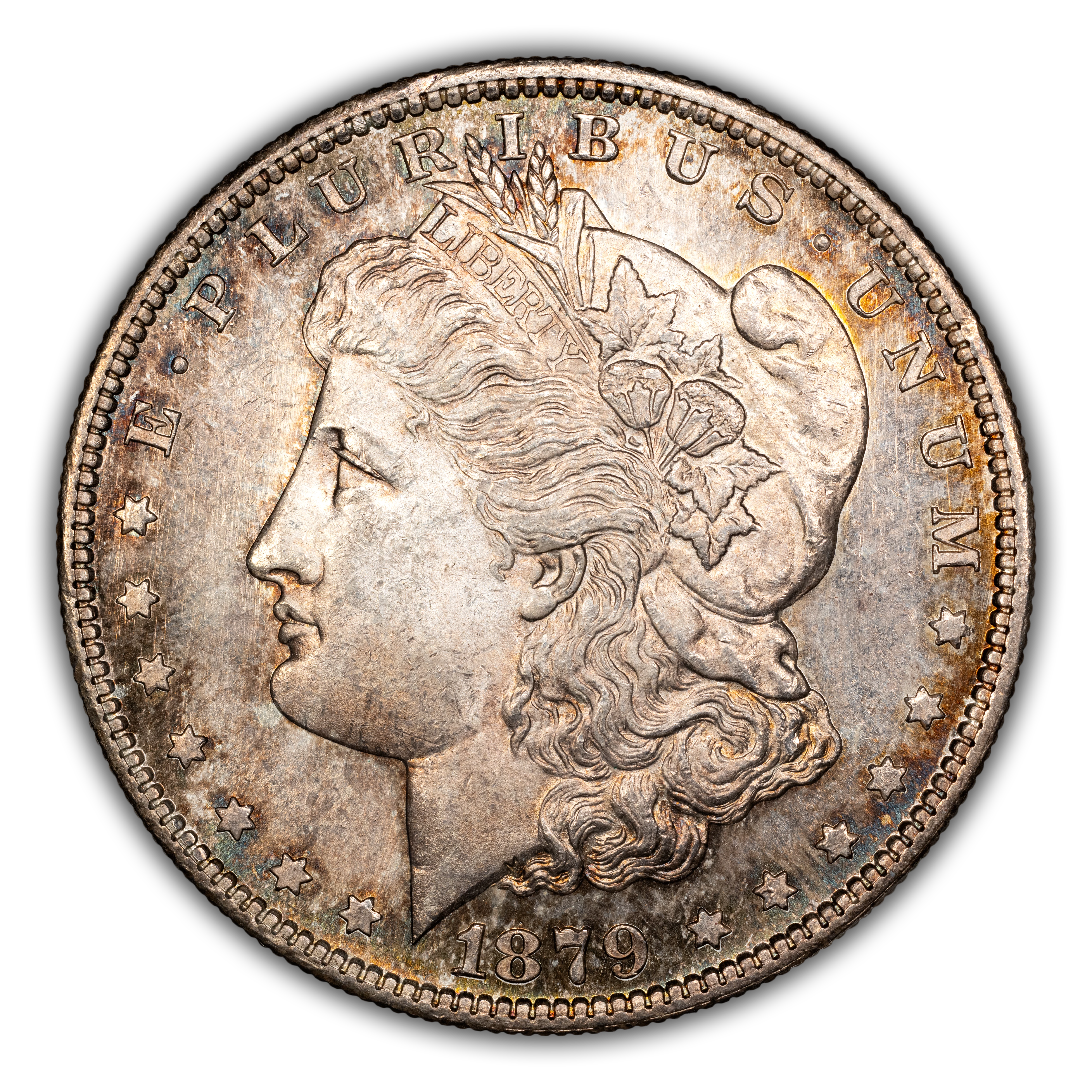 1879-S $1  Hair Ribbon Gouged, VAM-107A MS thumbnail 13