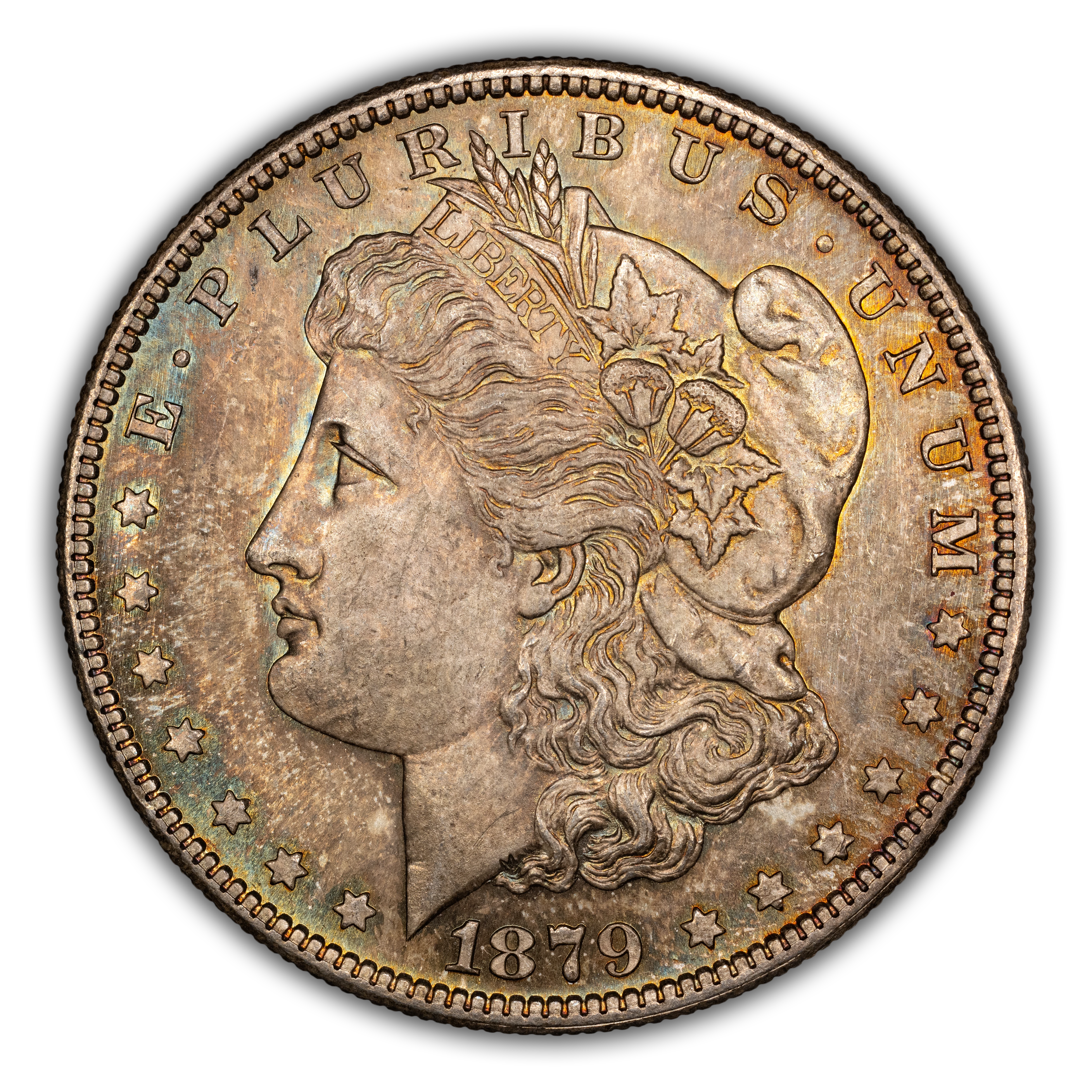 1879-S $1  Hair Ribbon Gouged, VAM-107A MS thumbnail 14