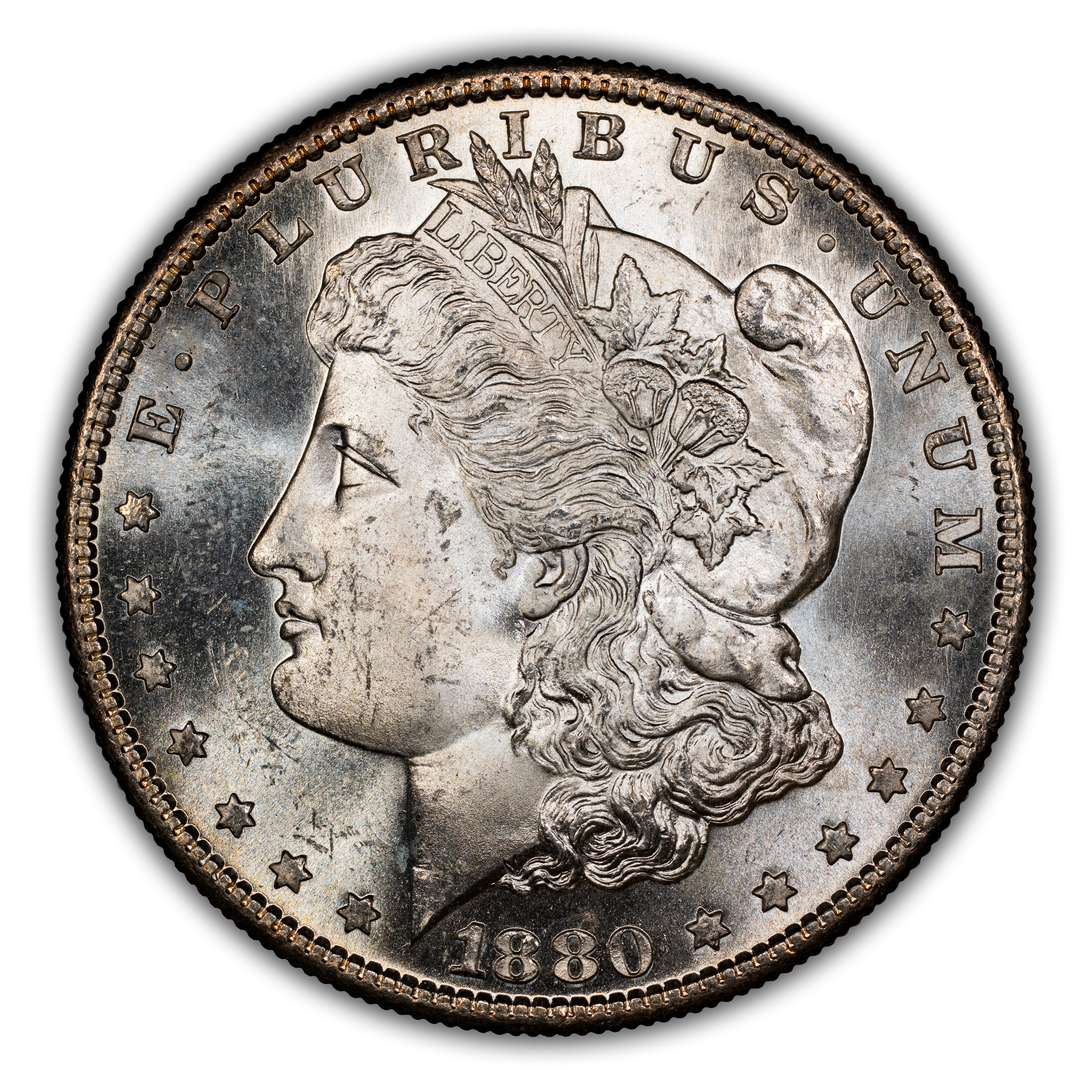 1880-S $1  Doubled Date, VAM-63  MS thumbnail 19