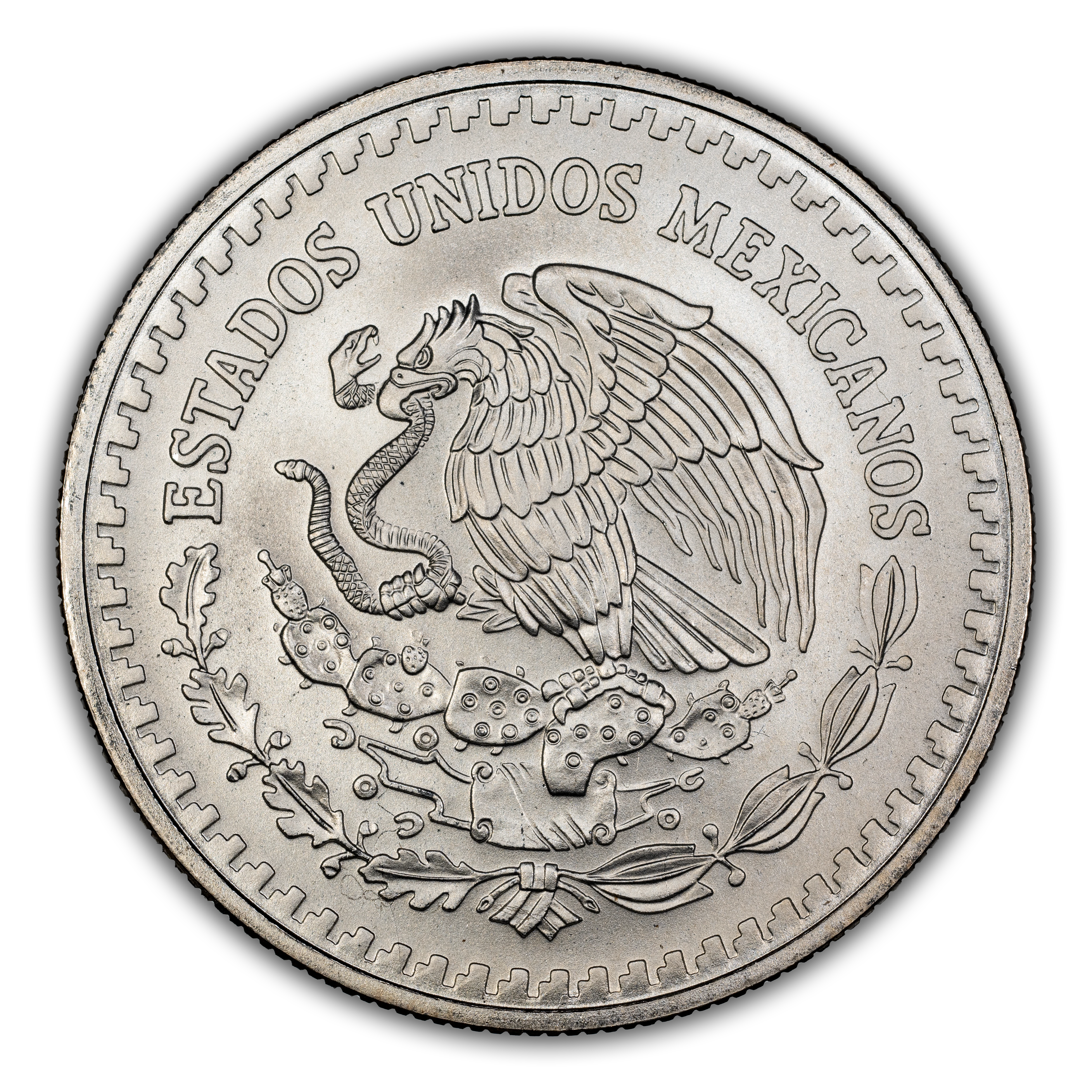 1995-Mo 1 Onza Libertad, Silver MS (KM-494.3) thumbnail 8