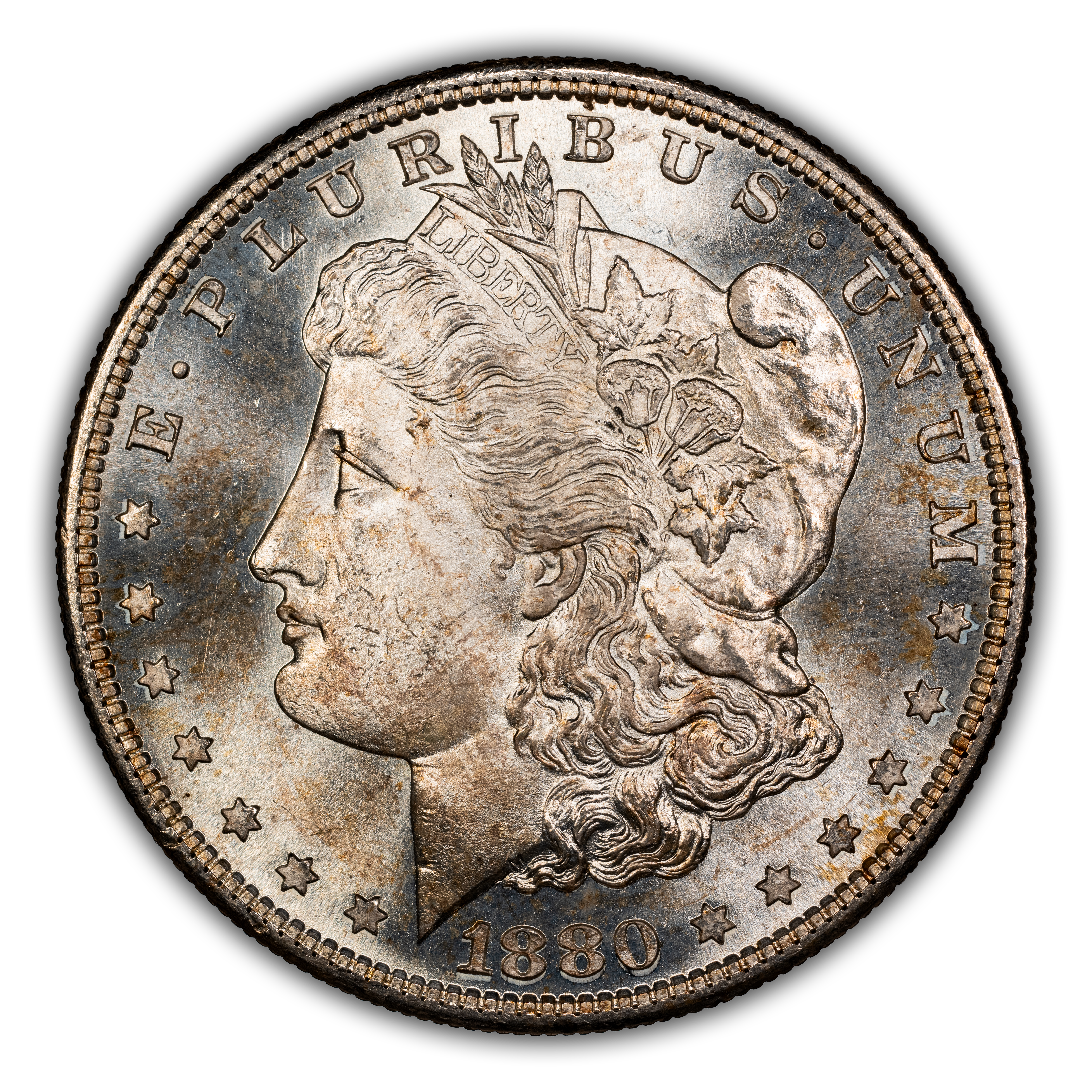 1880-S $1  Doubled Date, VAM-63  MS thumbnail 18