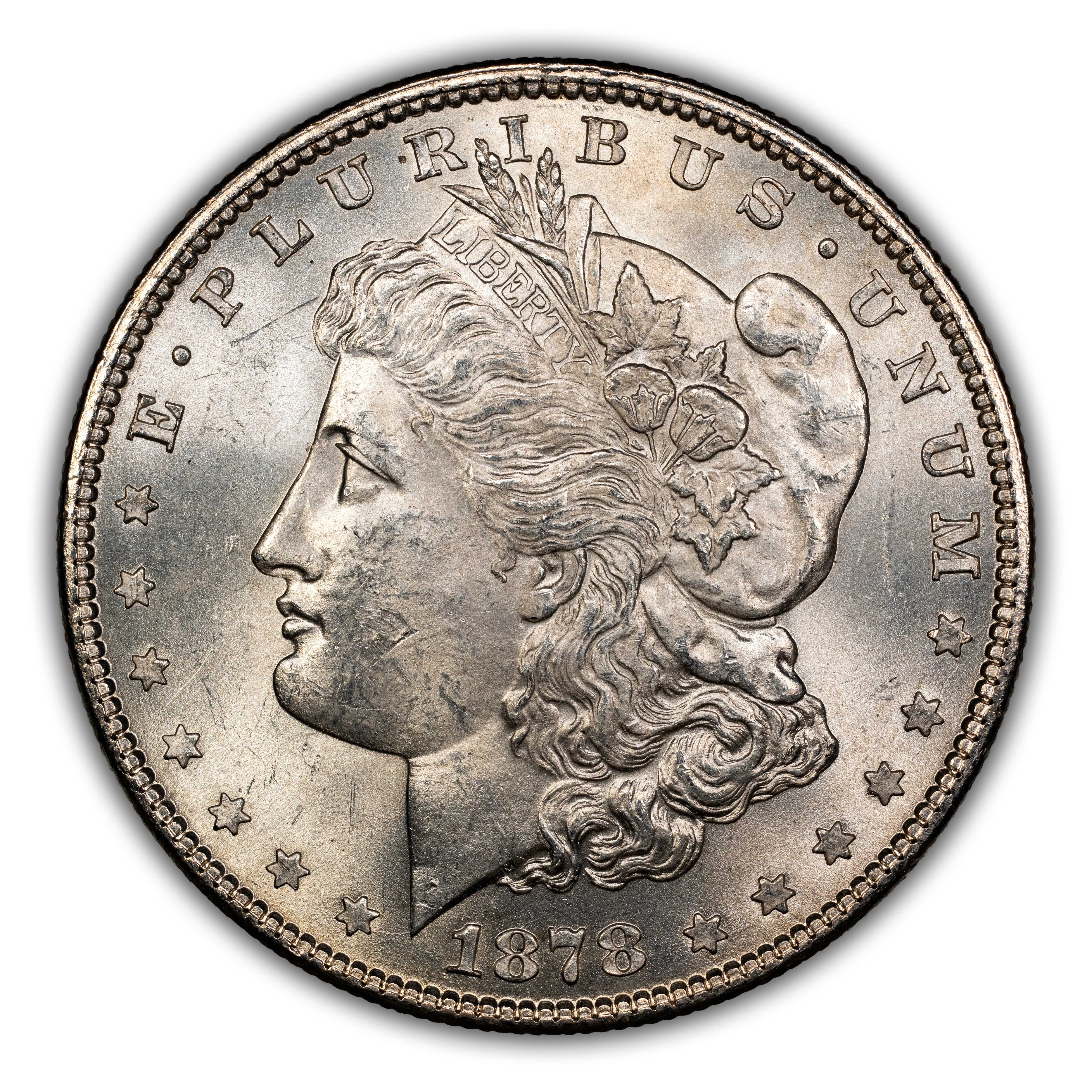 1878 7TF $1  Rev. 1878, Rev. Denticle Impressions, VAM-225A MS thumbnail 15