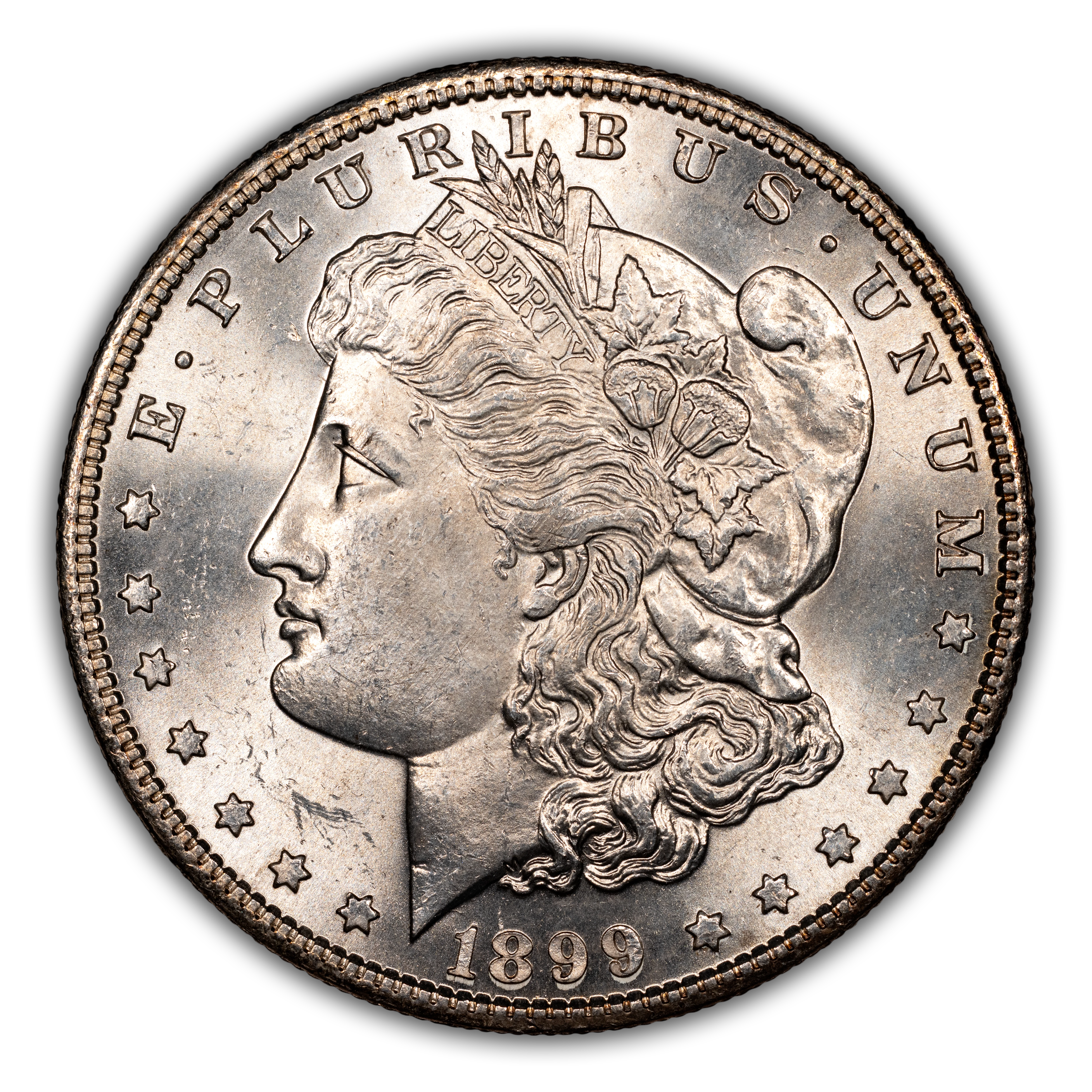 1899-S $1  VAM-15 MS thumbnail 2