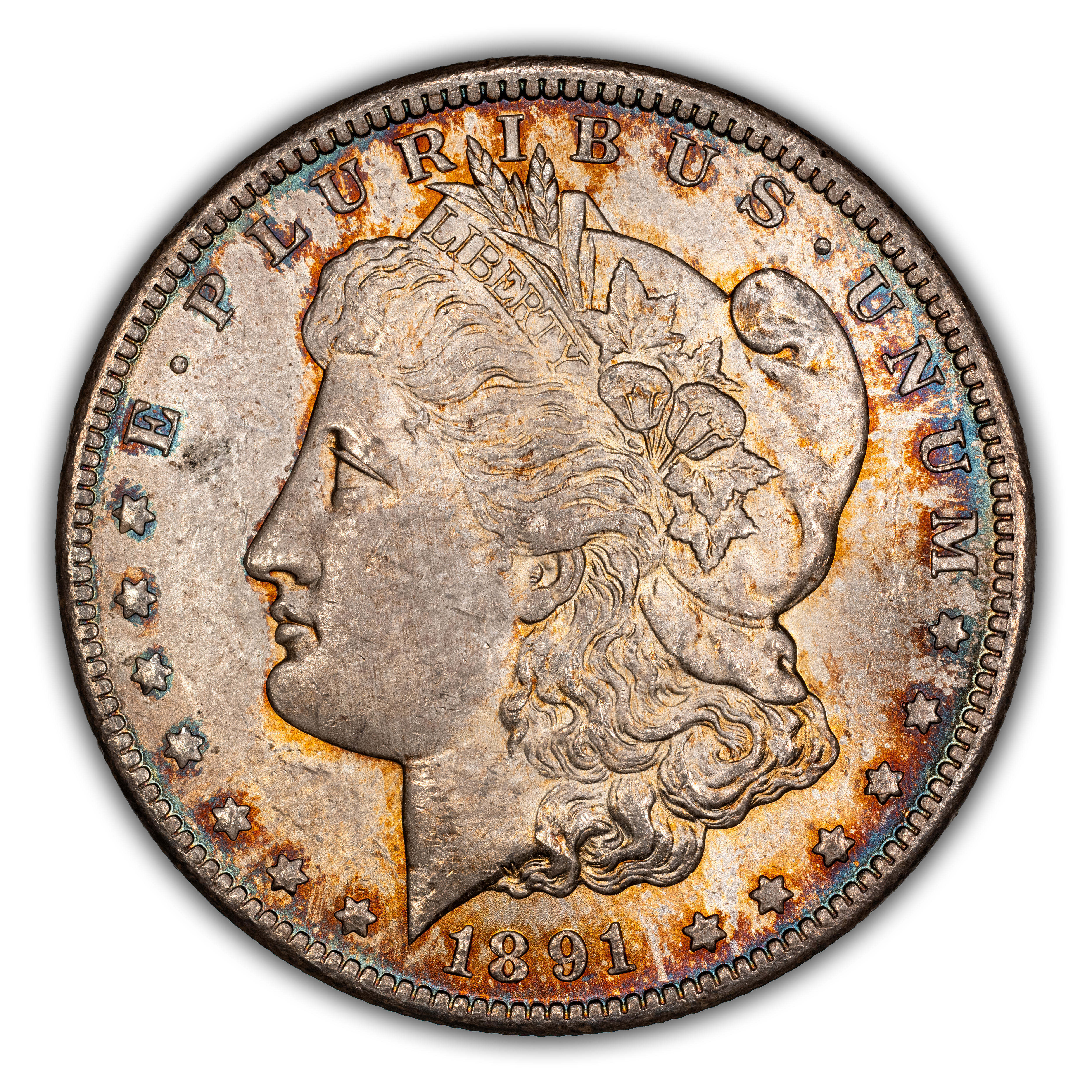 1891-CC $1  Spitting Eagle, VAM-3  MS thumbnail 4