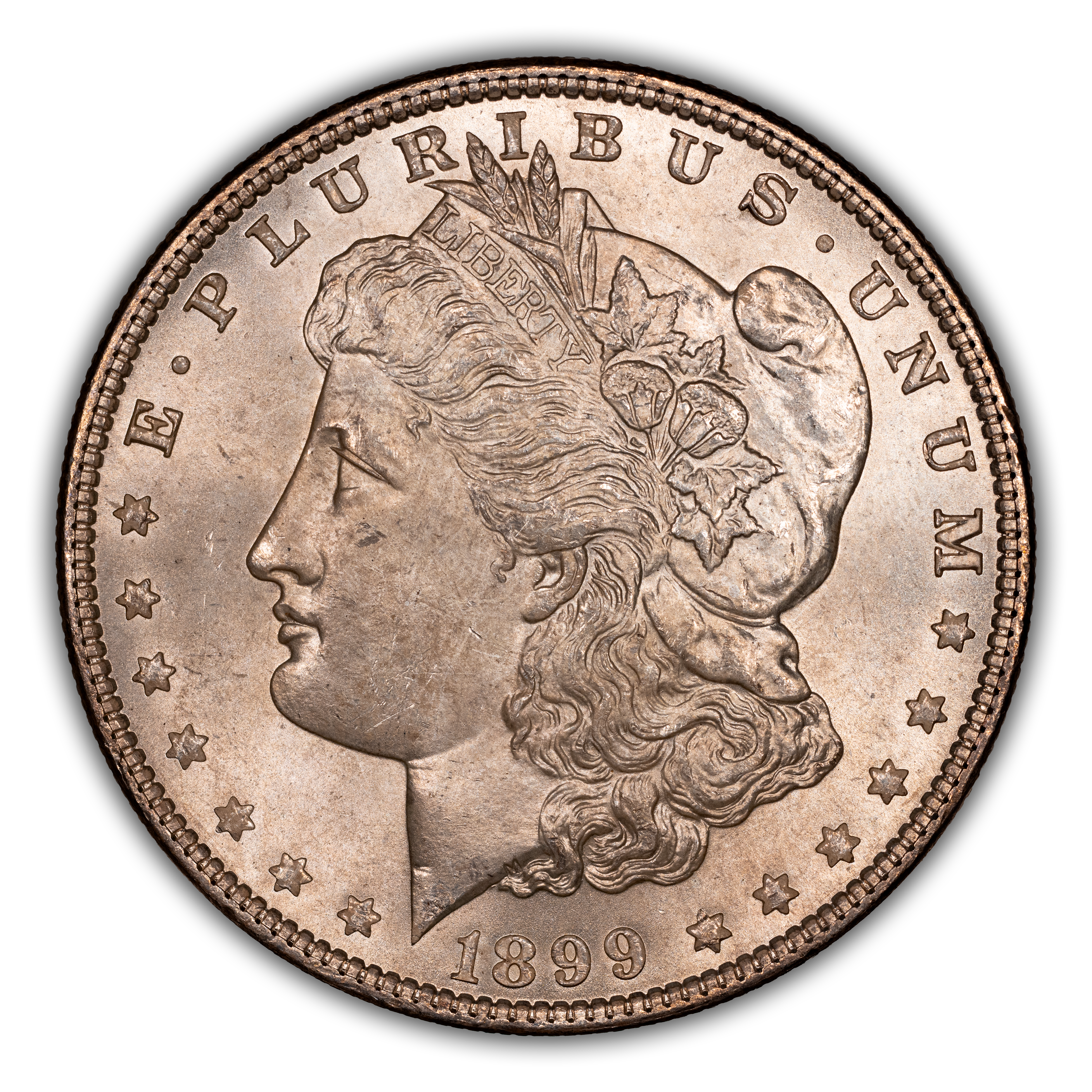 1899 $1  MS thumbnail 10