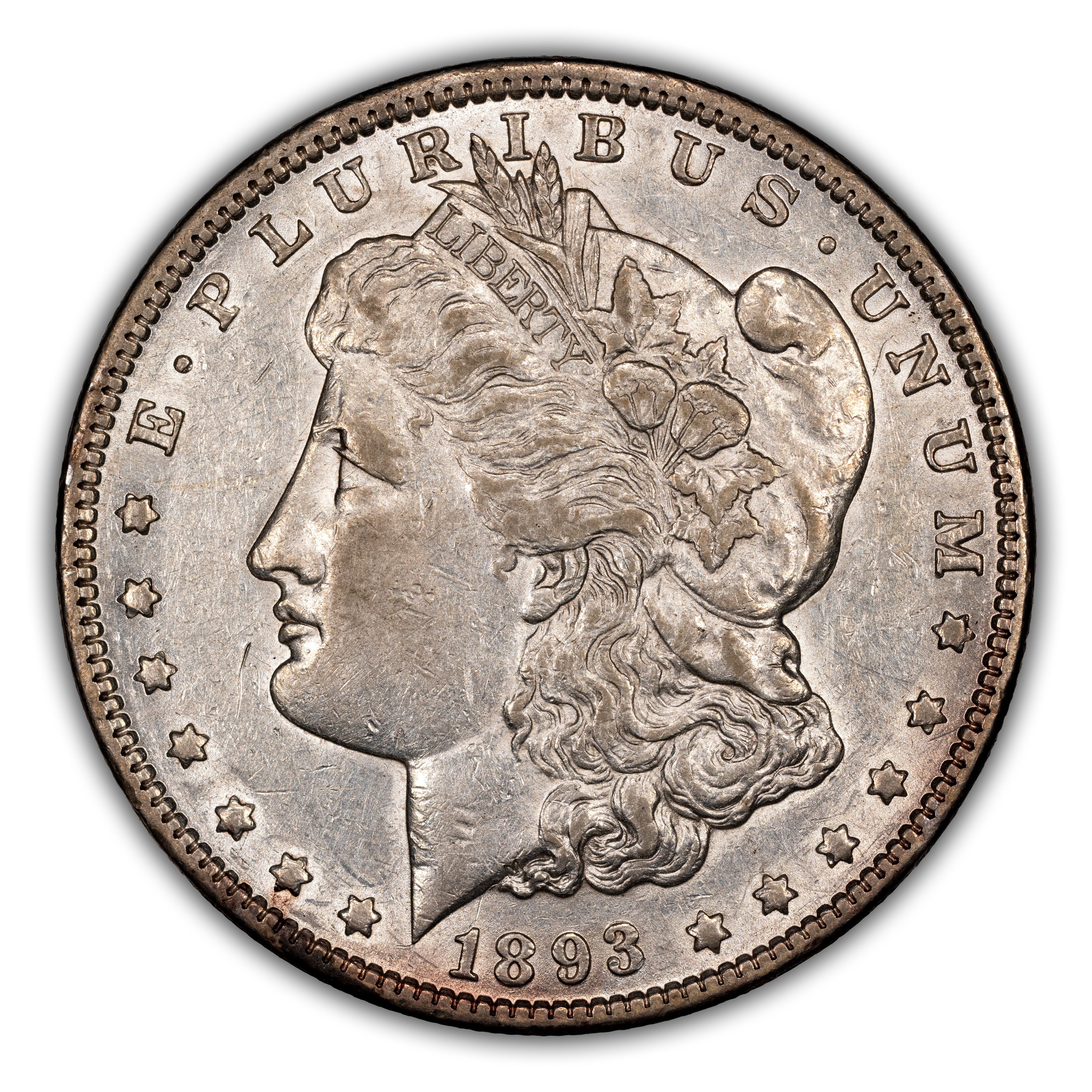 1893 $1  MS thumbnail 13