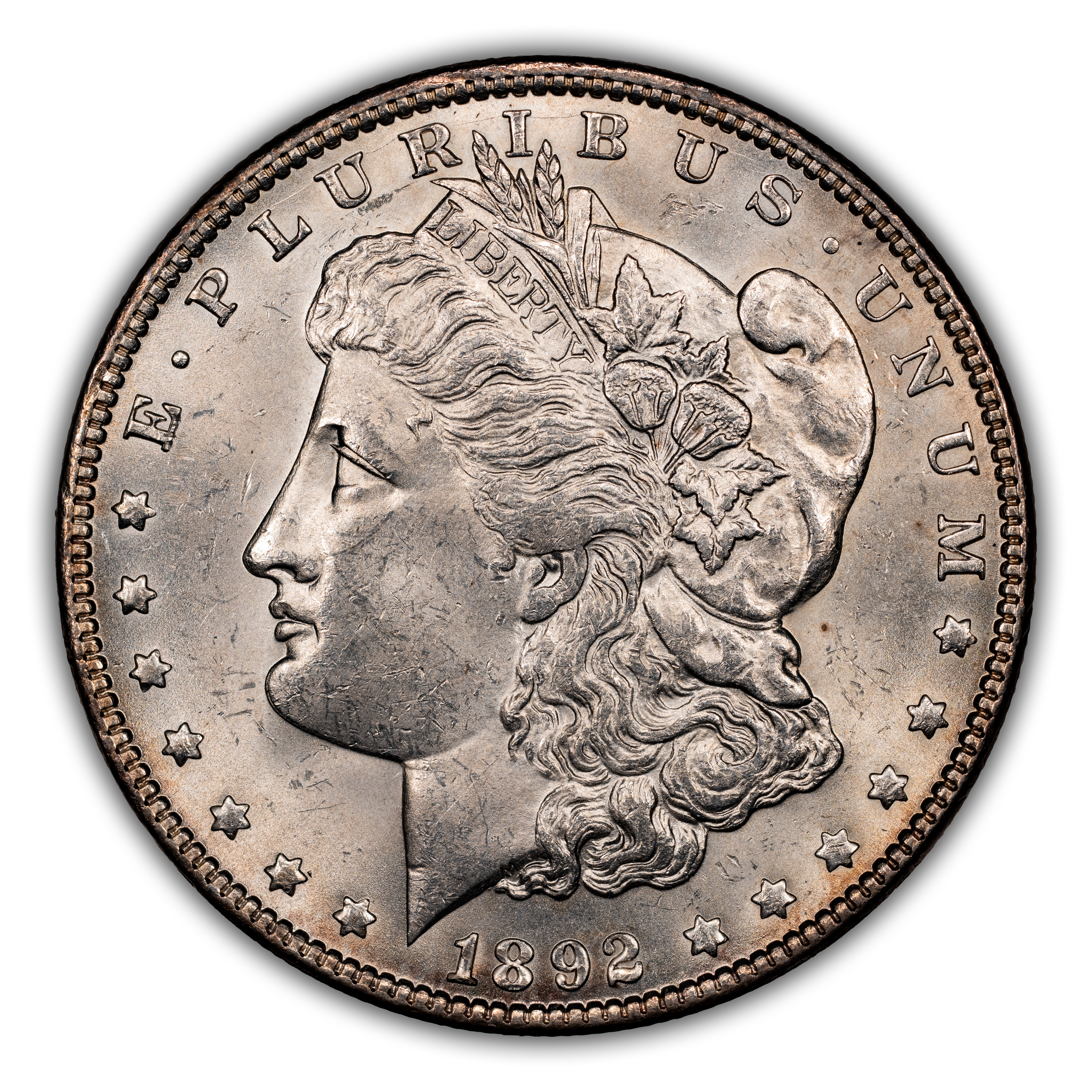 1892 $1  MS thumbnail 11