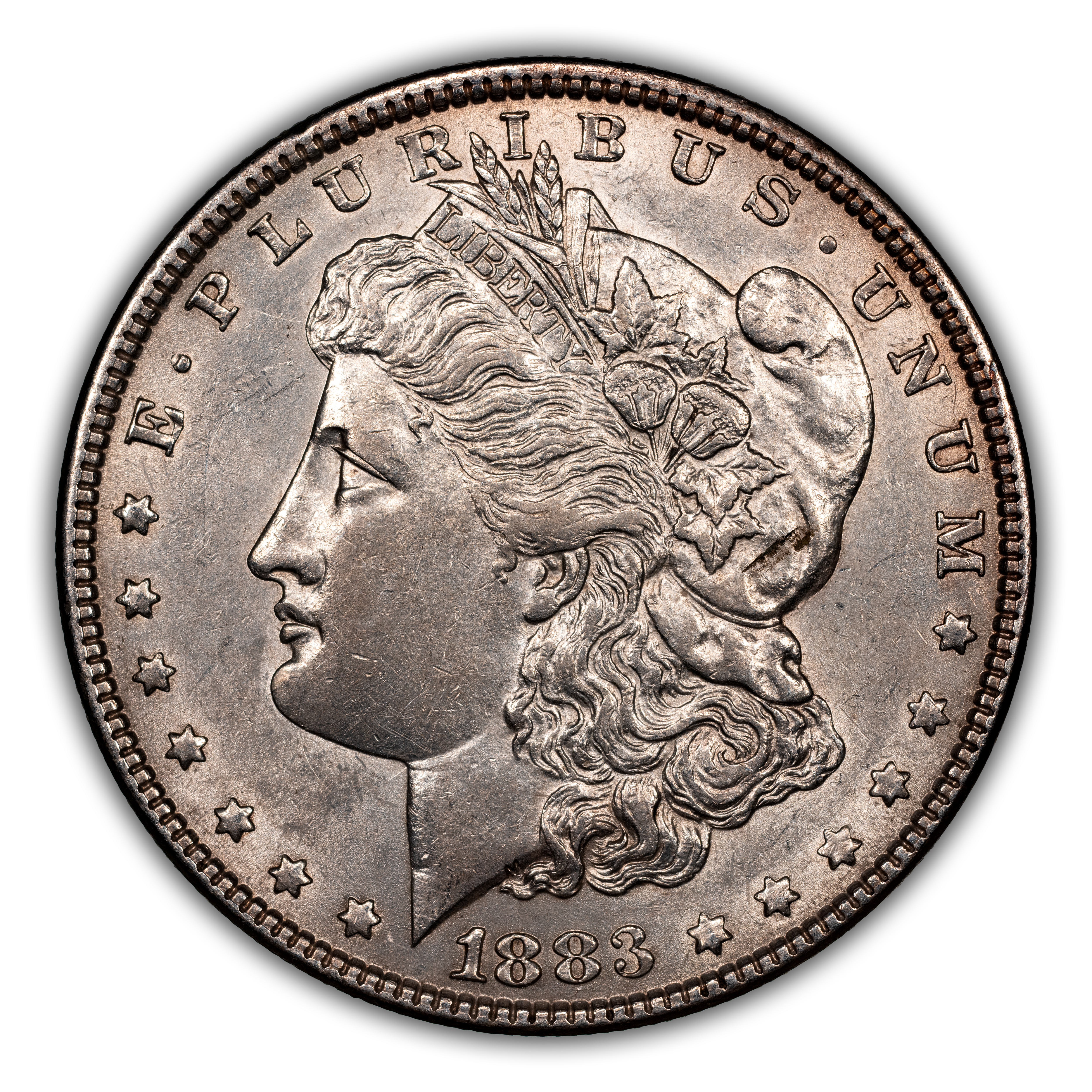 1883 $1  GSA Hoard, Hard Package MS thumbnail 7
