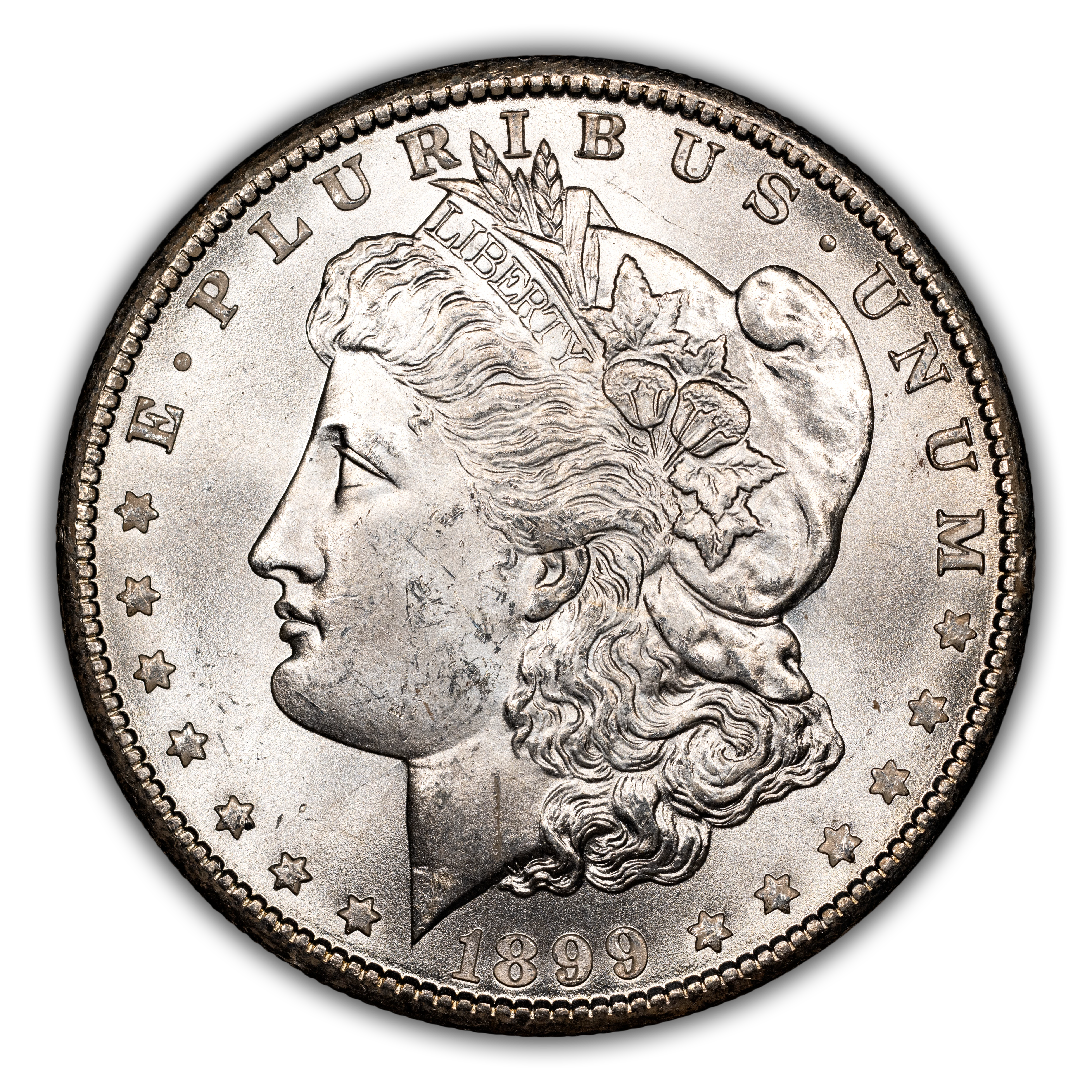 1899-O $1  Doubled 1, Die Breaks Reverse, VAM-11A MS thumbnail 17