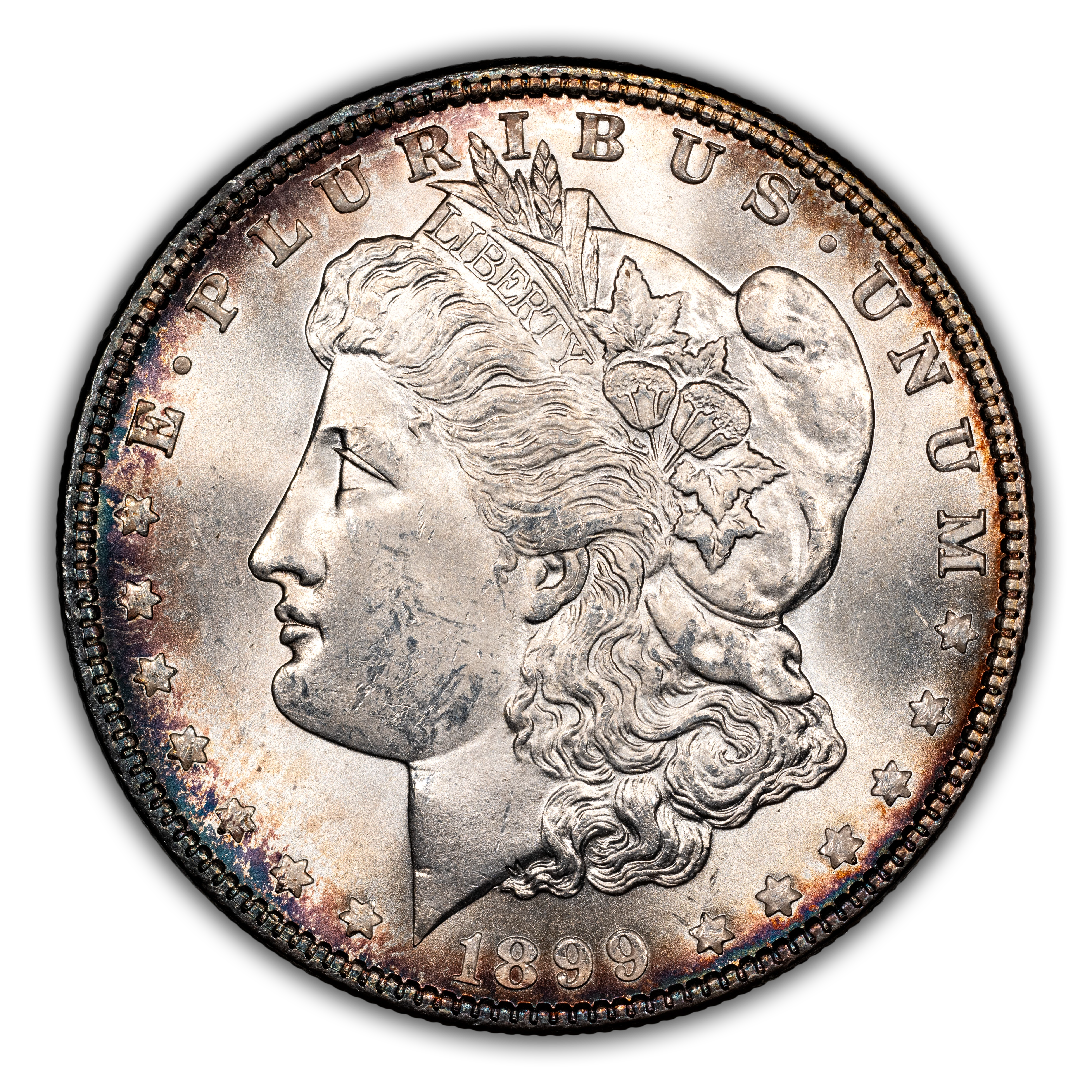 1899 $1  MS thumbnail 11