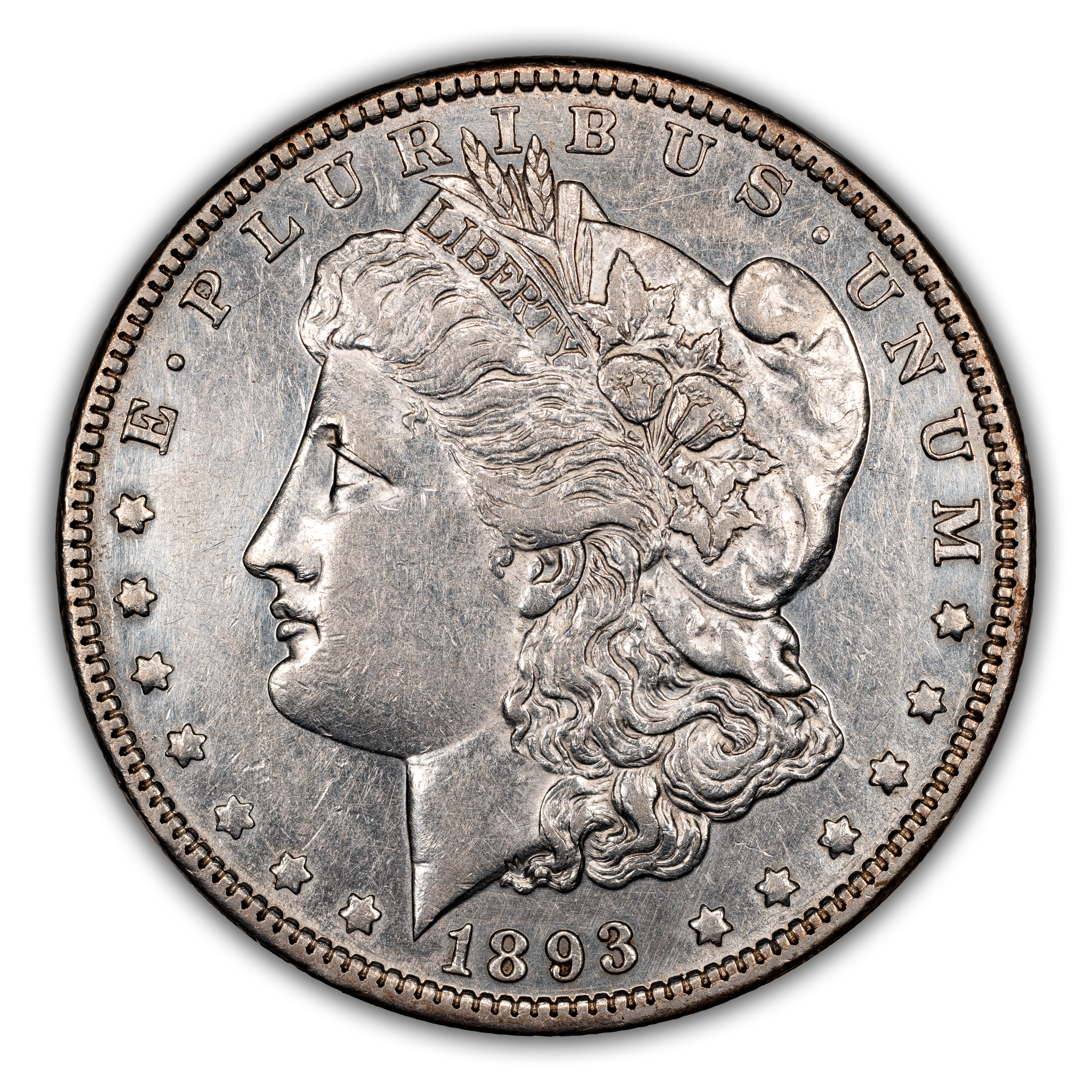 1893 $1  MS thumbnail 15