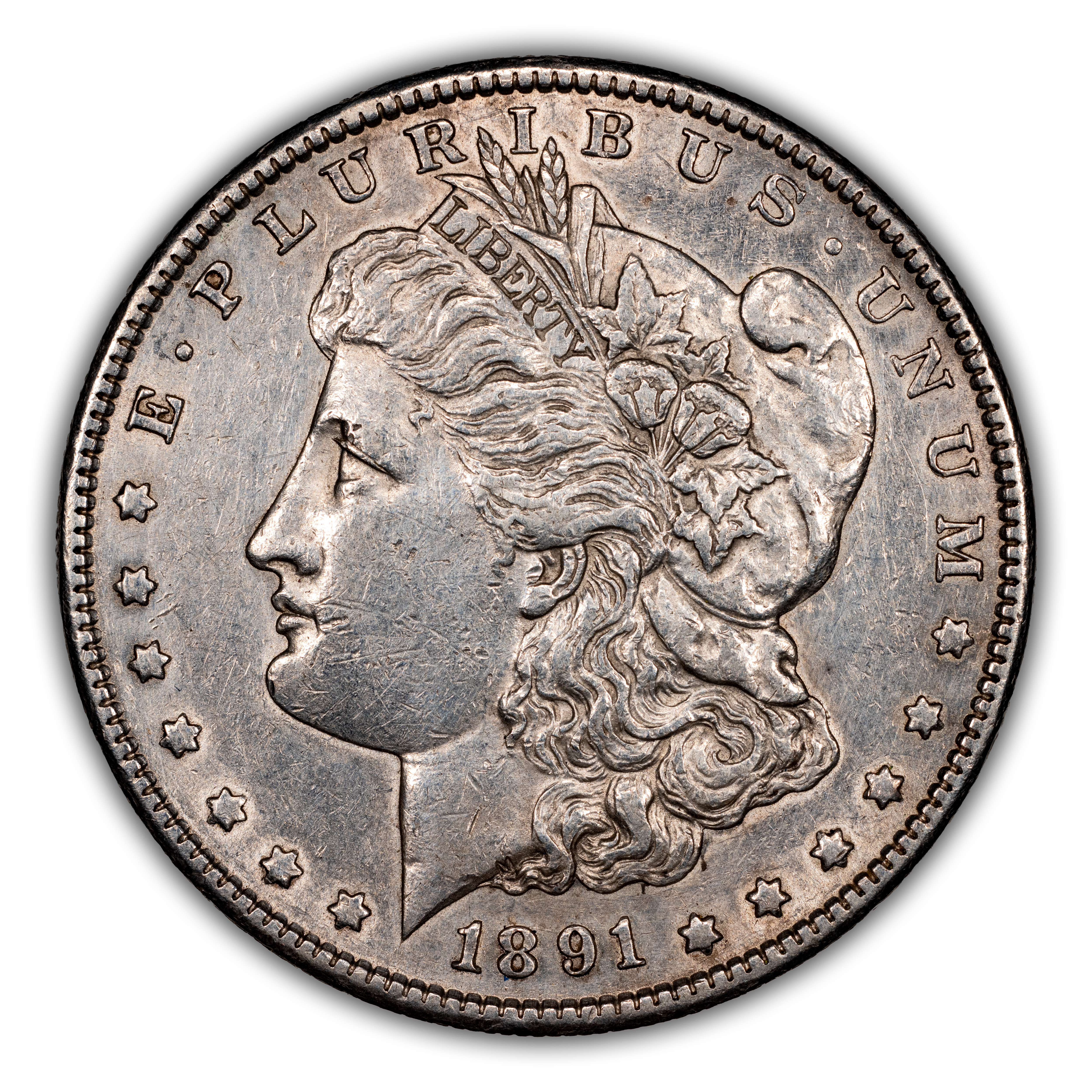 1891-S $1  Far Slanted Date, VAM-7 MS thumbnail 5