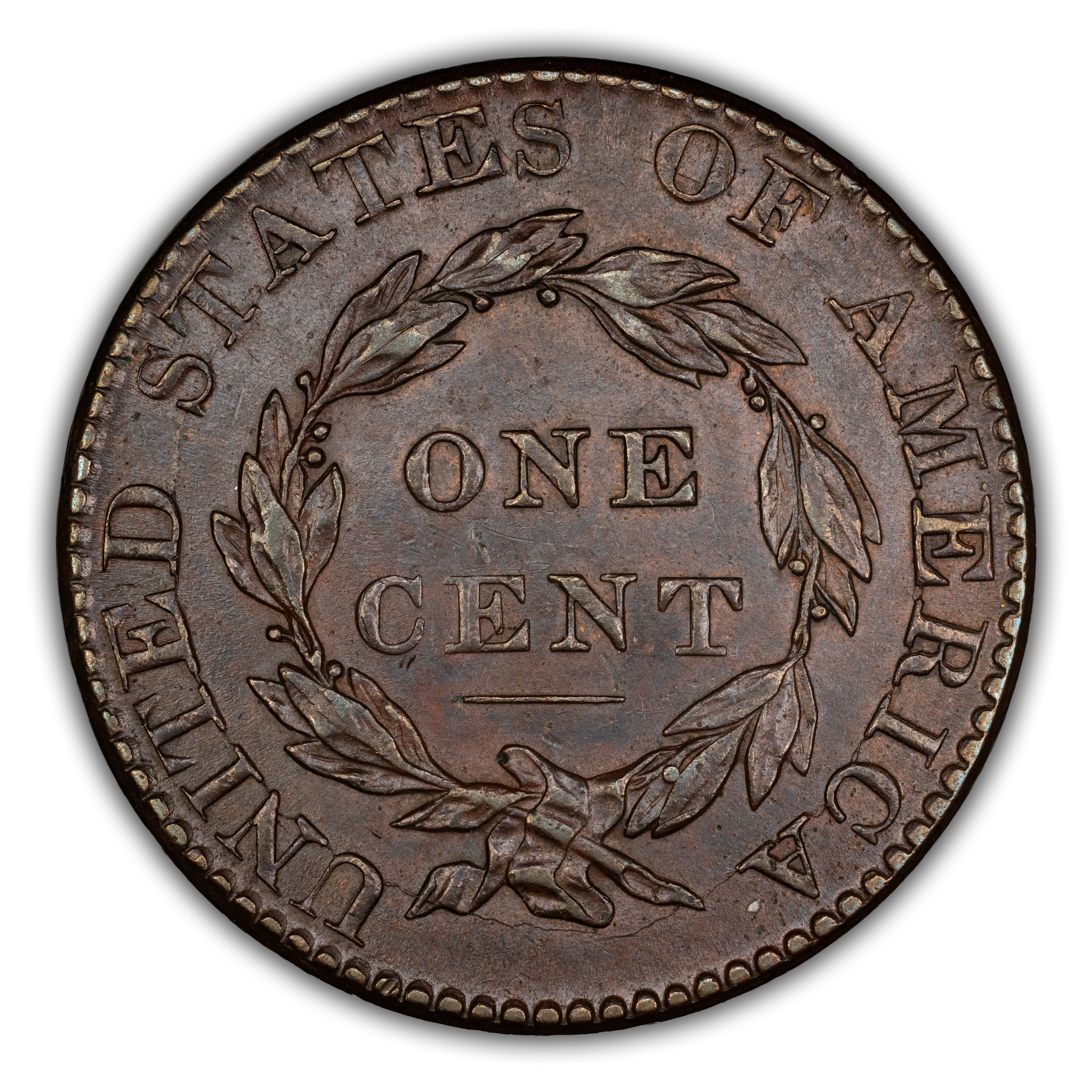 1824/2 1c MS BN thumbnail 9