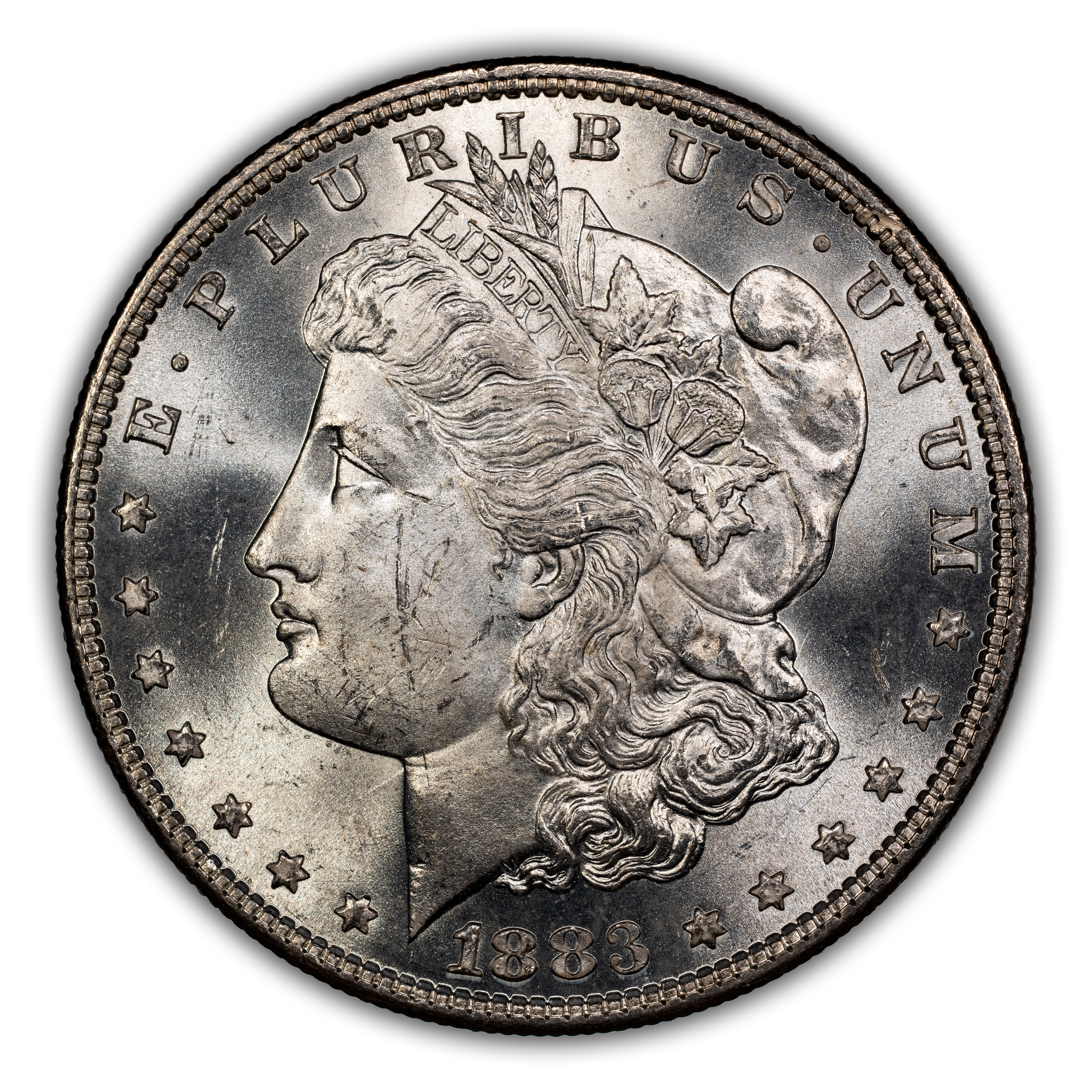 1883 $1  GSA Hoard, Hard Package MS thumbnail 3