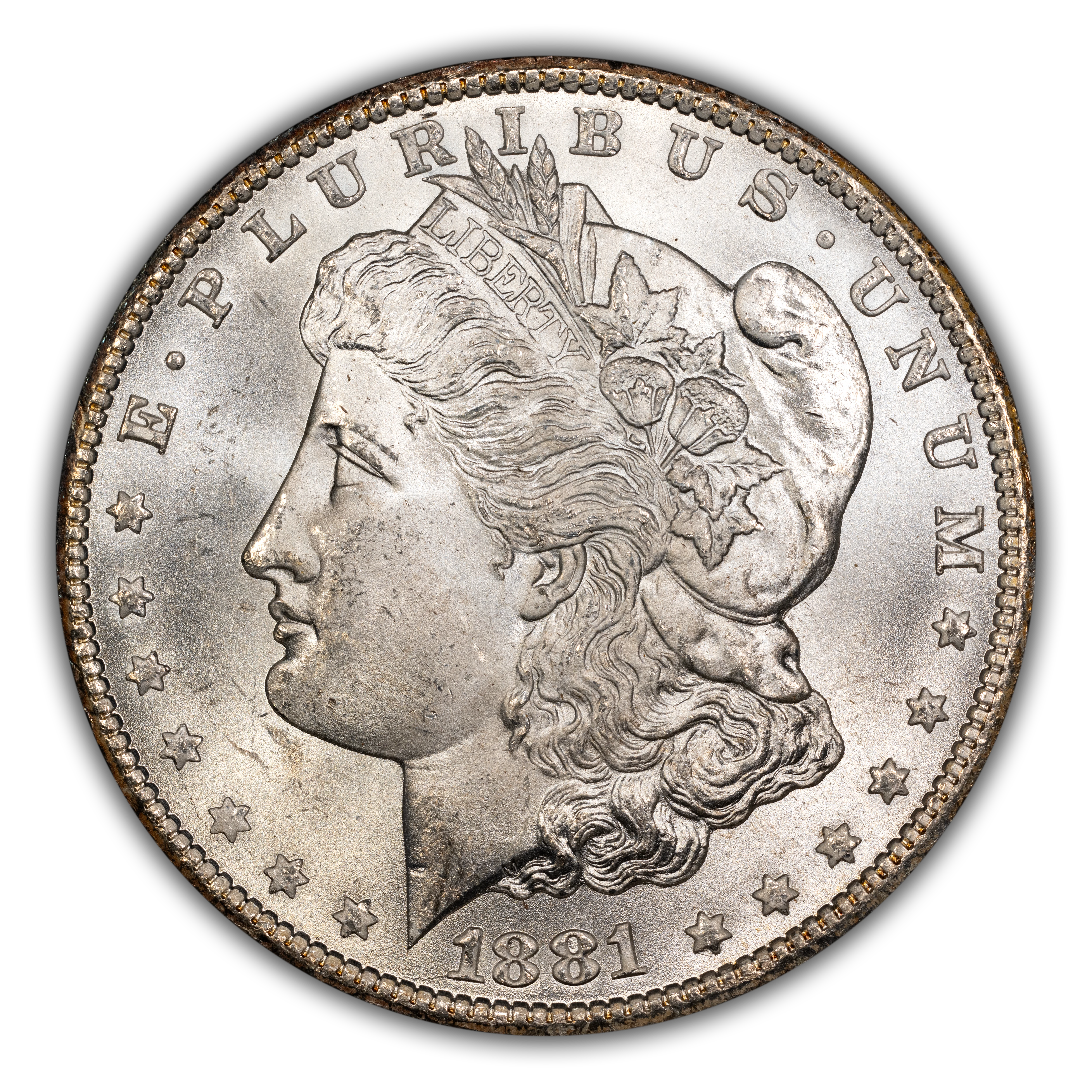 1881-CC $1  GSA Hoard, Hard package MS thumbnail 4