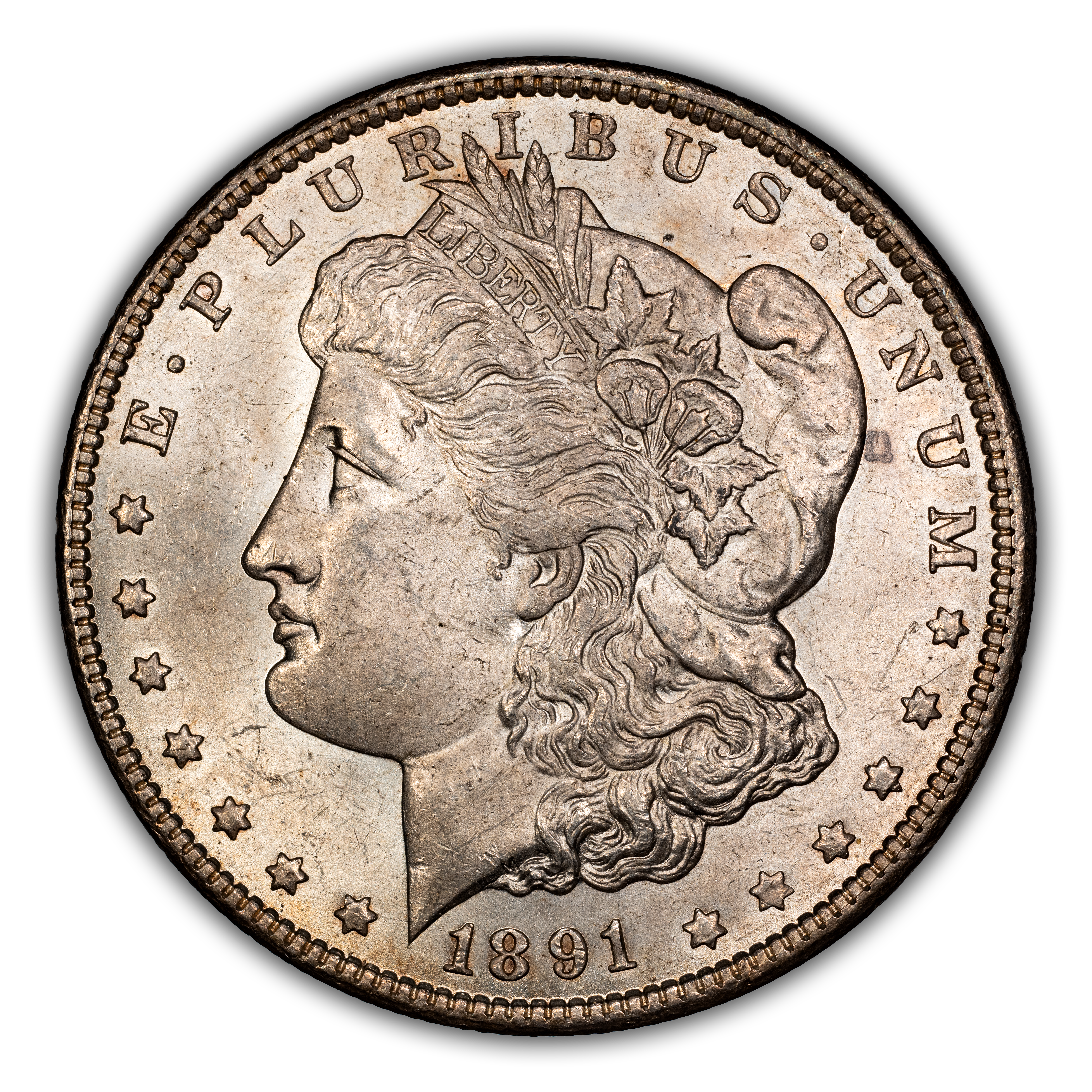1891-CC $1  Doubled Lettering, VAM-6 MS thumbnail 7