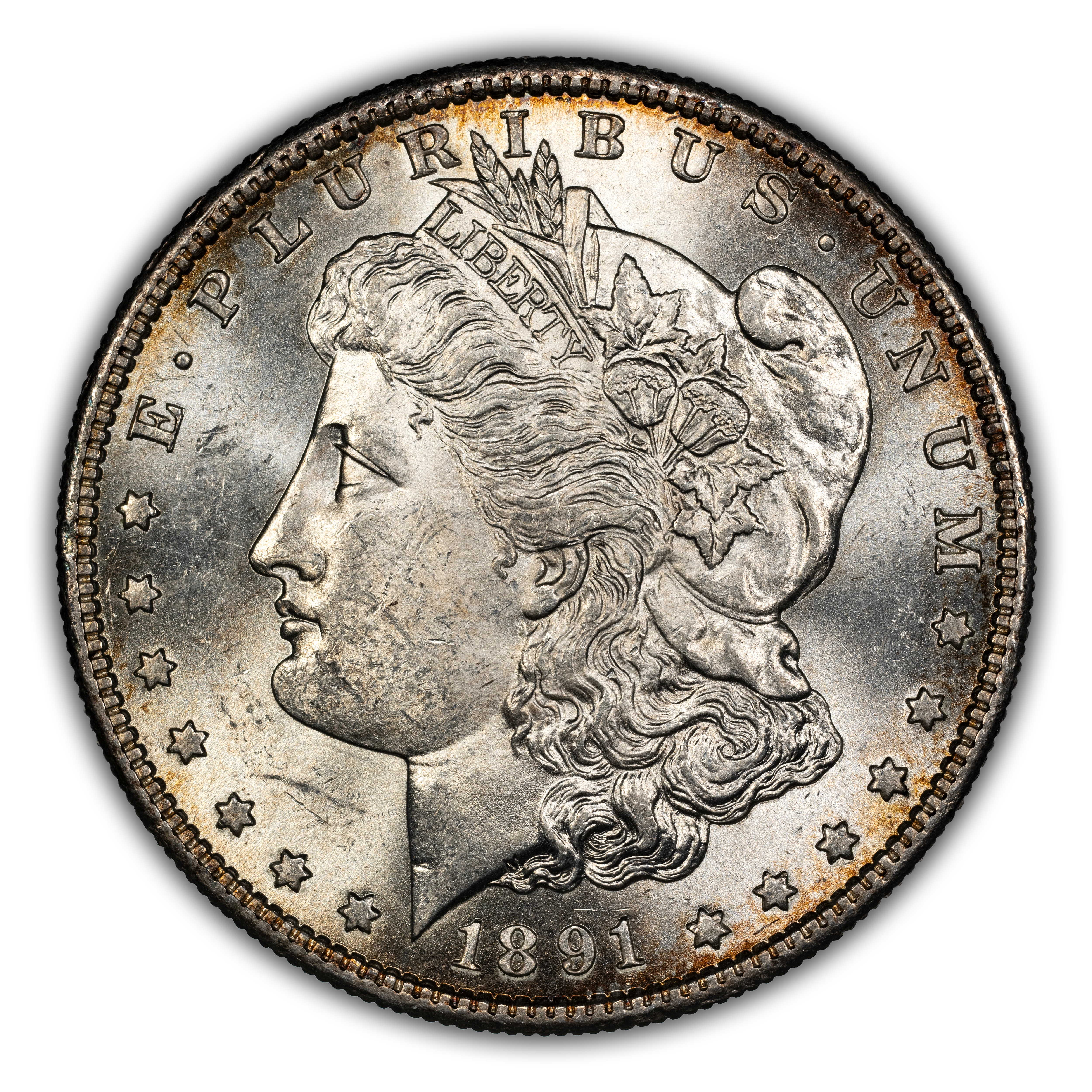 1891-S $1  Far Slanted Date, VAM-7 MS thumbnail 2