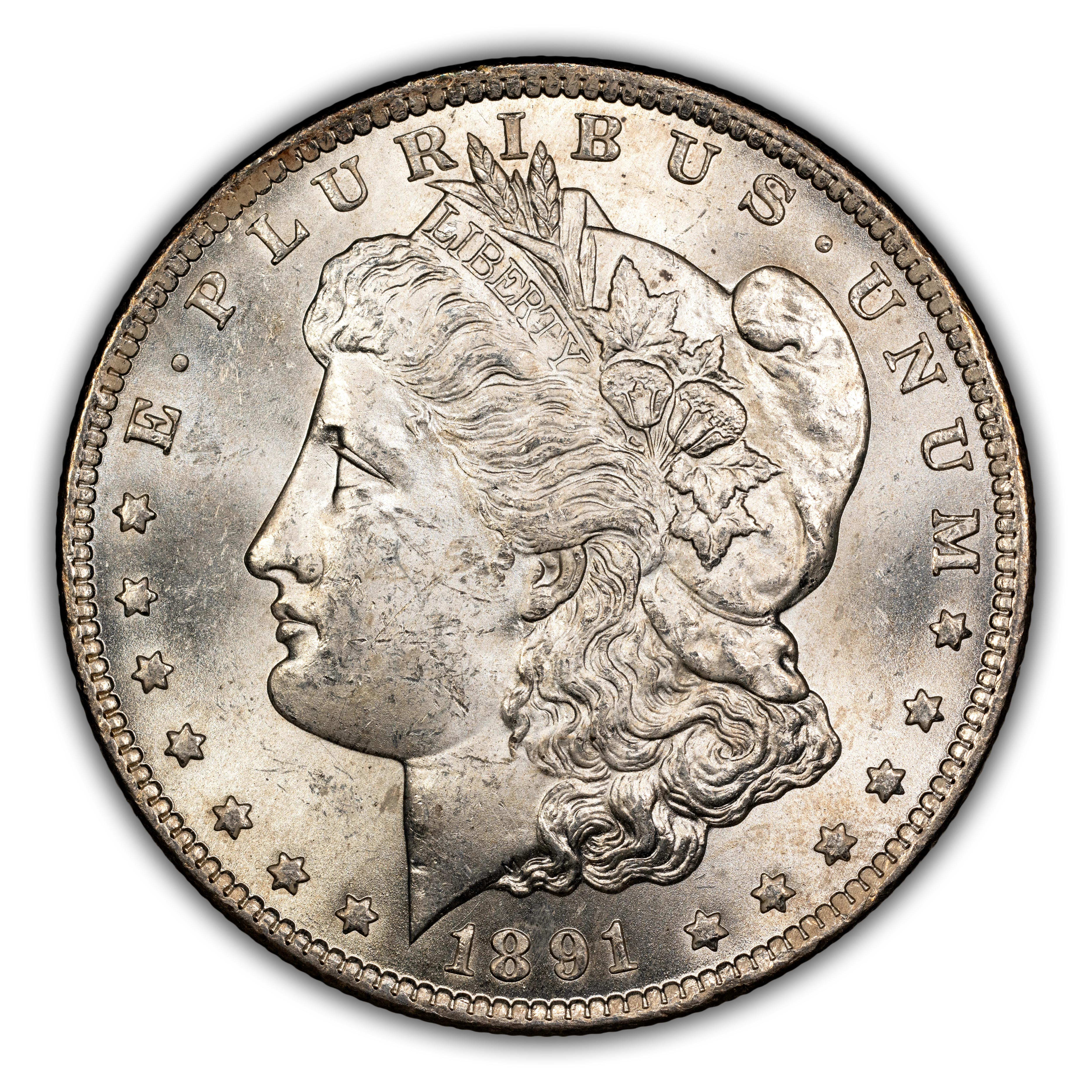 1891-CC $1  Normal Date, C/C Right, VAM-8 MS thumbnail 13