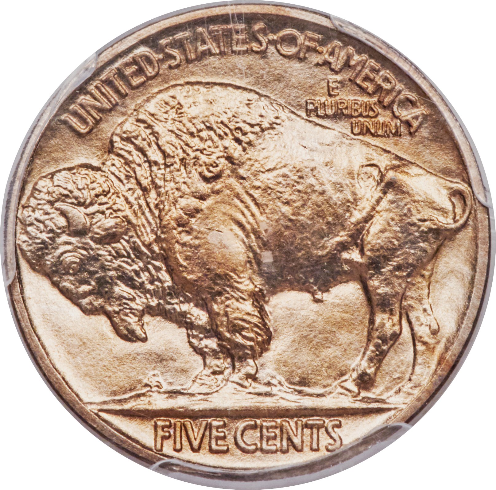 enlarged image for The Wonderful World Of Buffalo Nickel Collecting: An Appreciation Of The “Most American” Of All Coin Designs