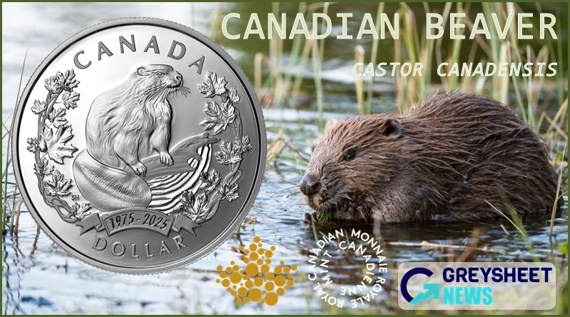 China 1985 Silver Panda 10 Yuan Coin Values & Prices By